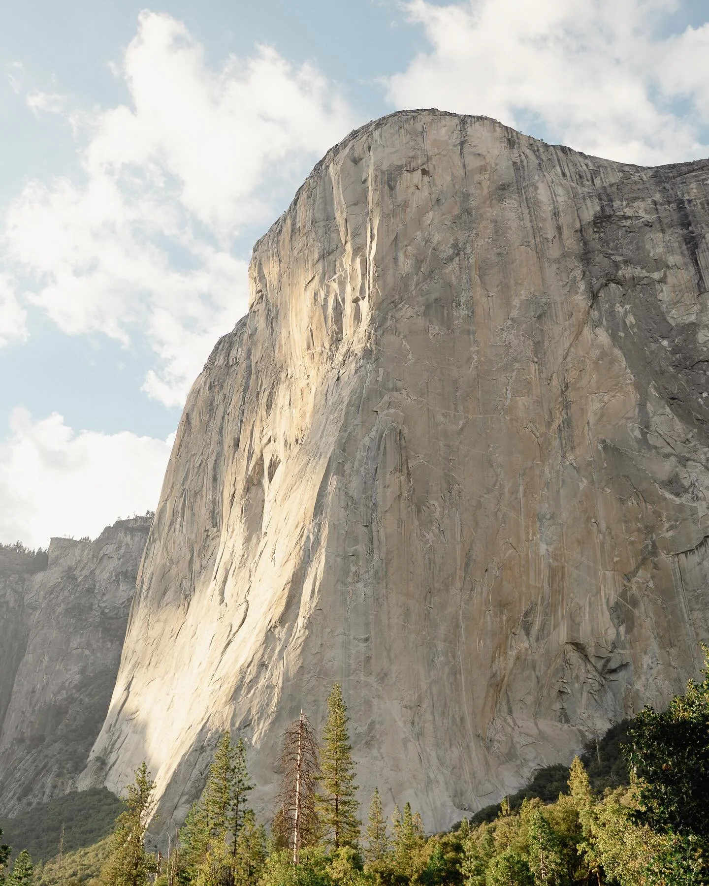 El Capitan, Yosemite NP

I&rsquo;ve been obsessed with this rock since the Alex Honnold documentary Free Solo. The athleticism it takes to climb such a rock is fascinating. I literally could have sat in the meadow all day watching and taking pictures