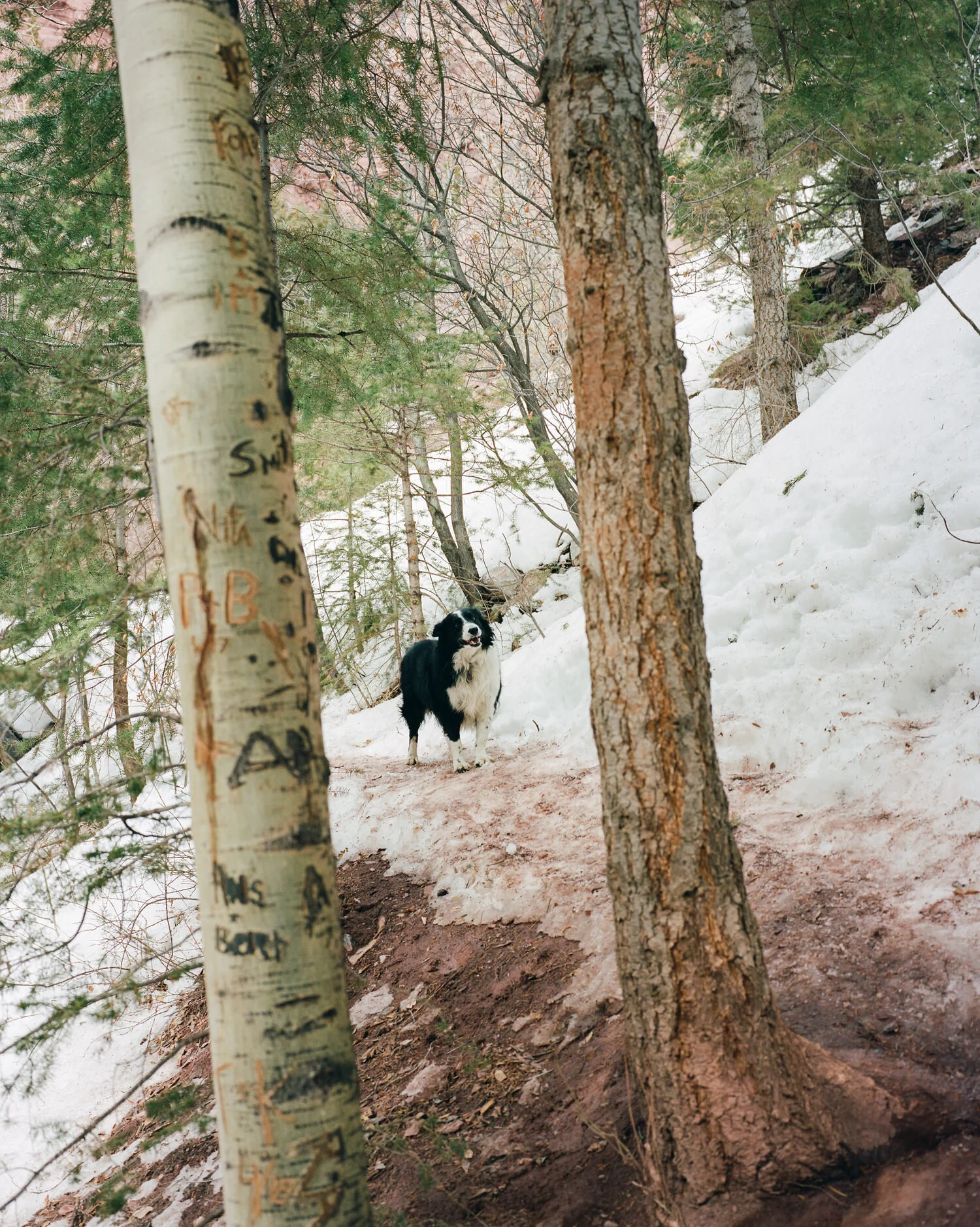 telluride-2020-004.jpg