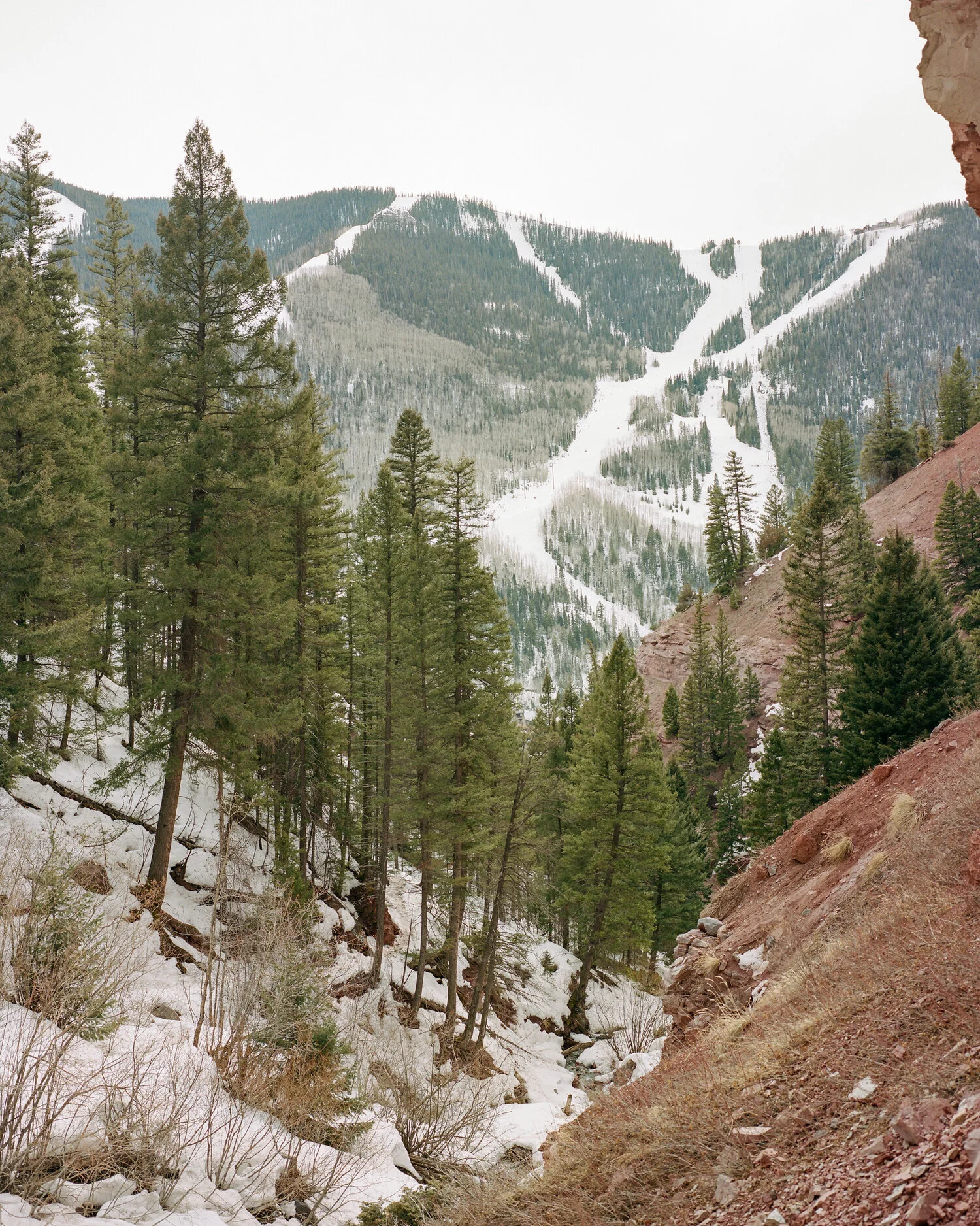 telluride-2020-009.jpg