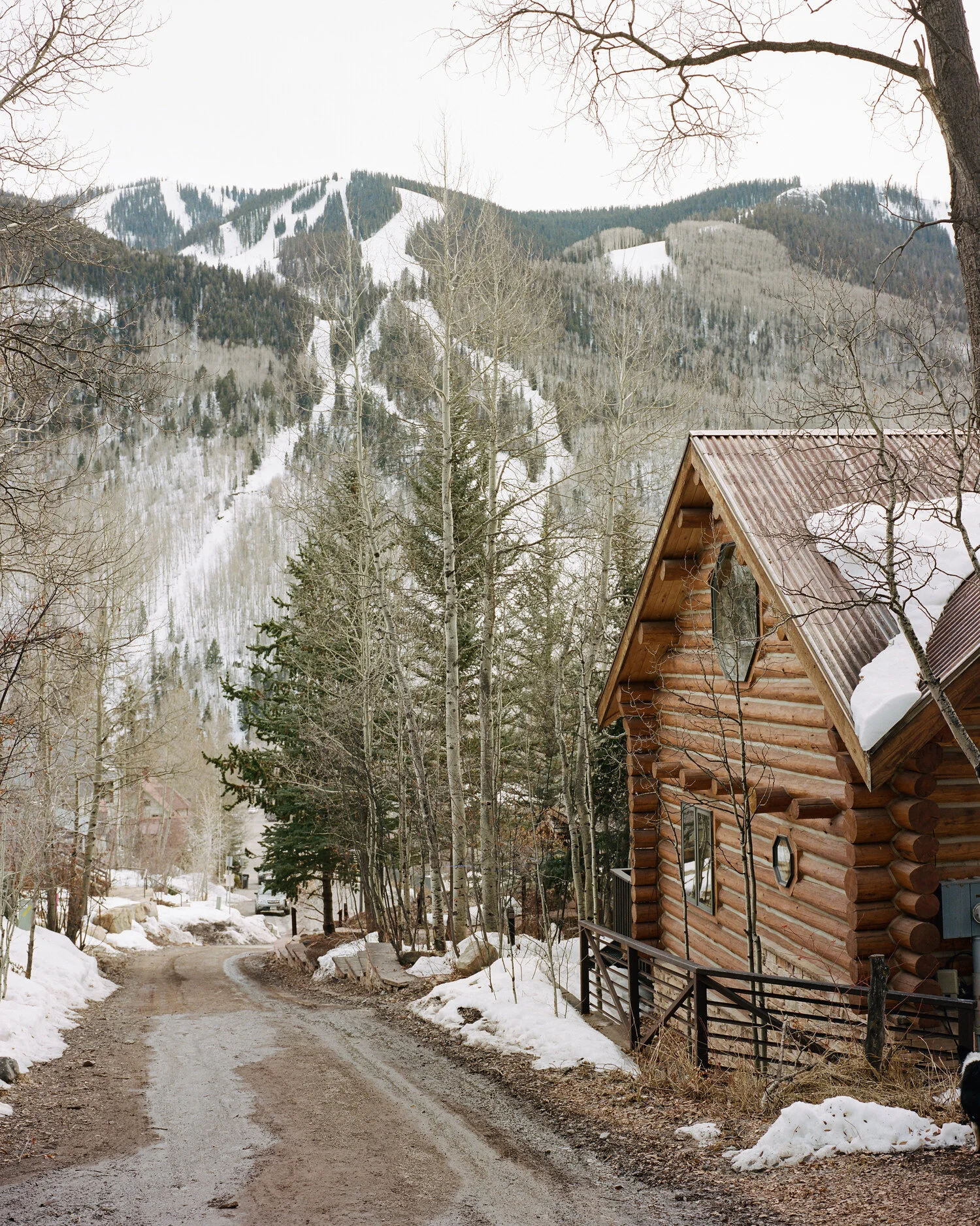 telluride-2020-011.jpg