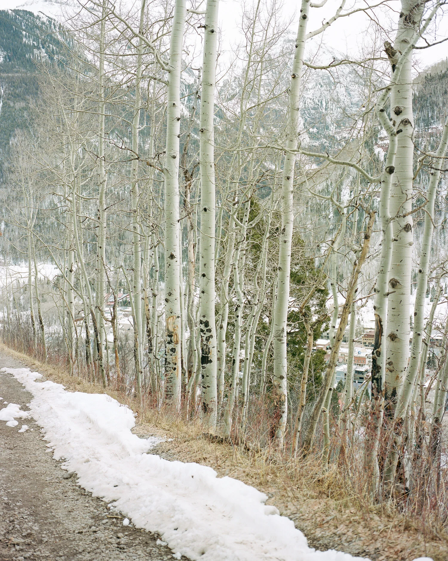 telluride-2020-017.jpg