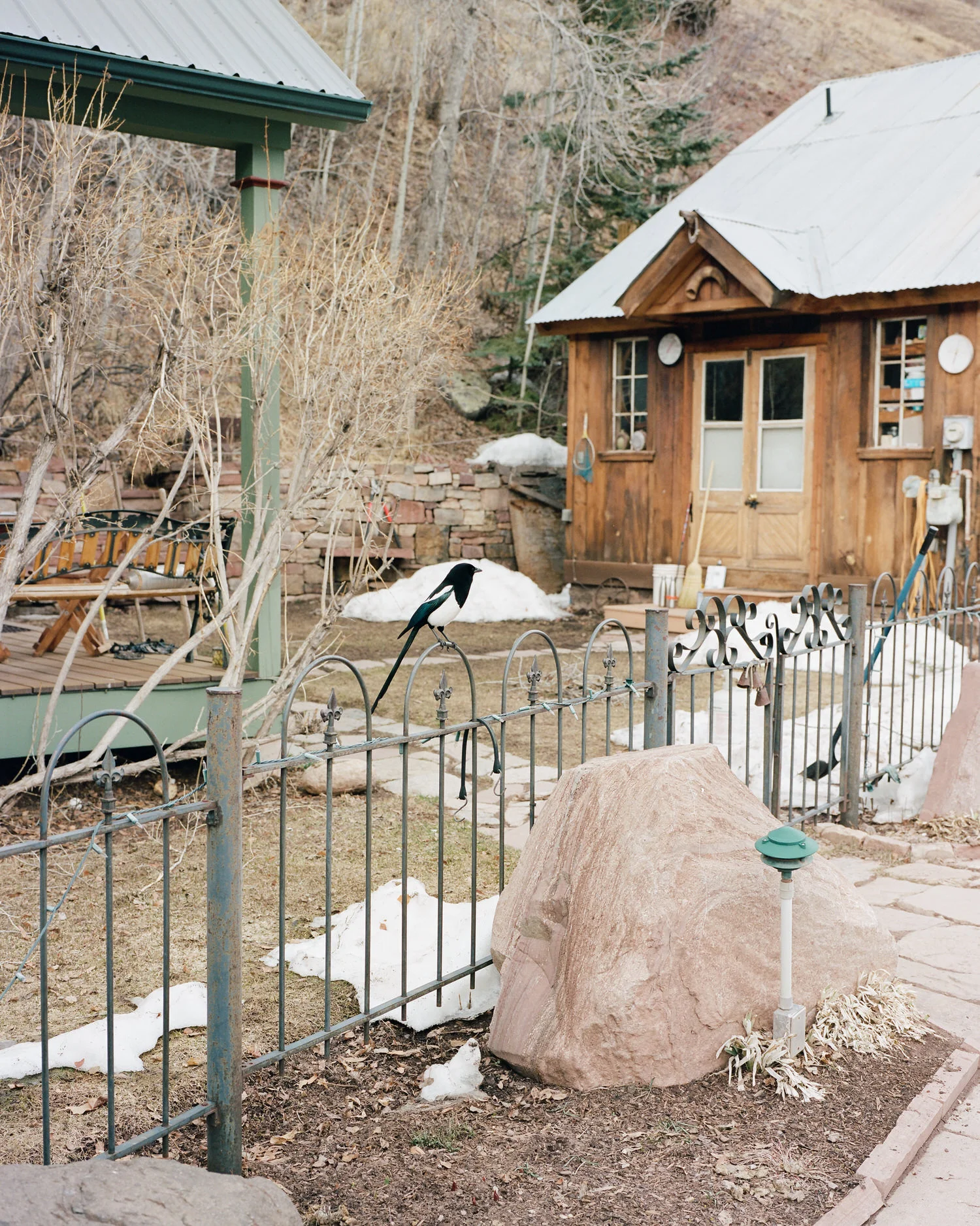 telluride-2020-019.jpg