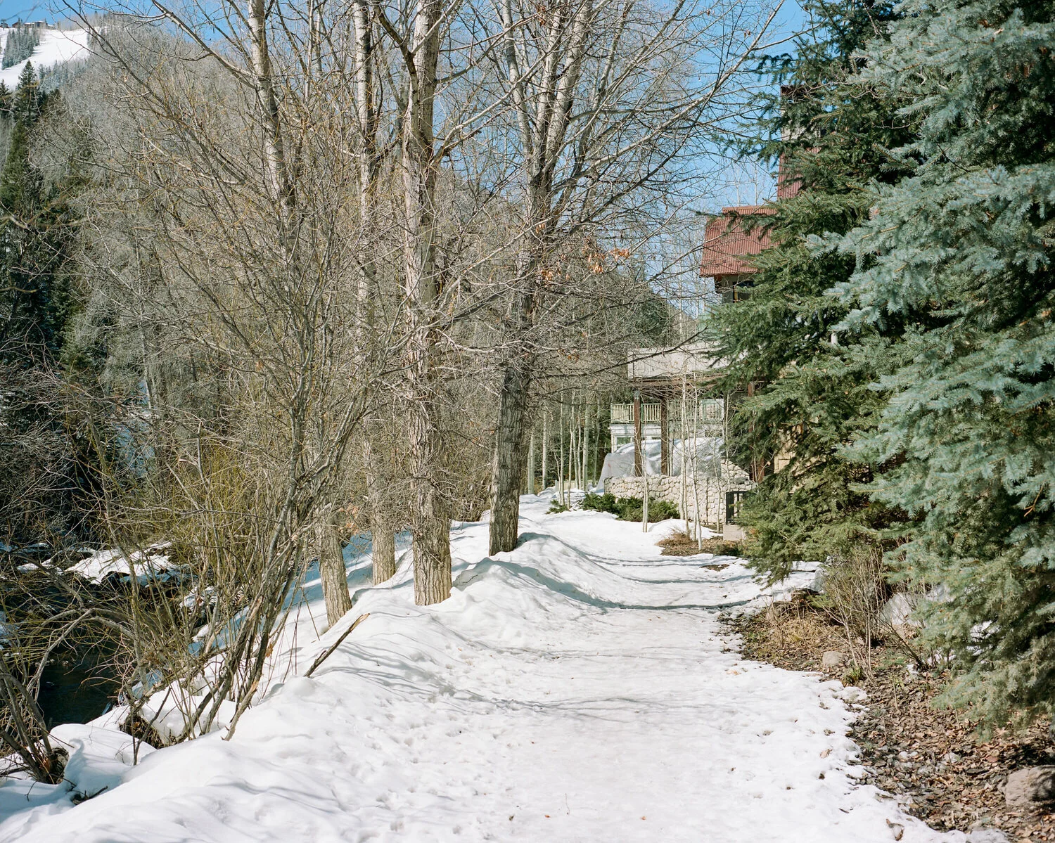 telluride-2020-020.jpg