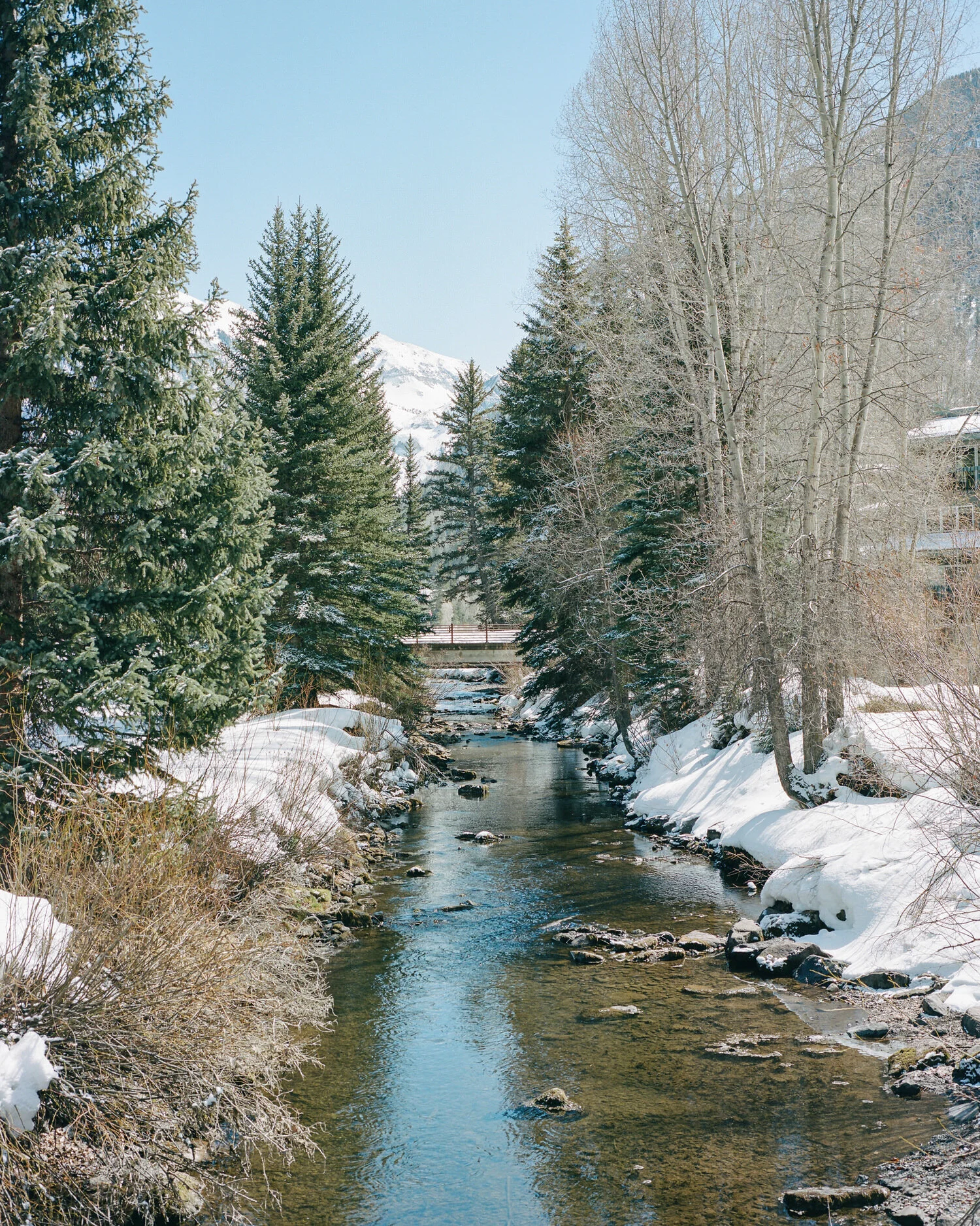 telluride-2020-021.jpg
