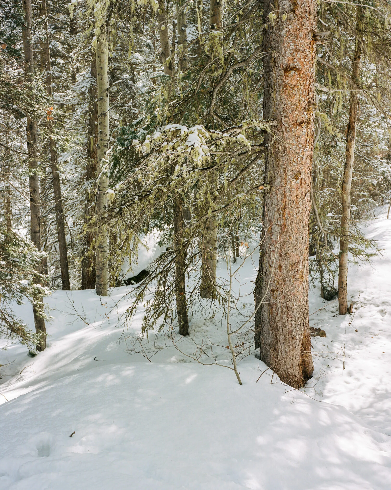 telluride-2020-025.jpg