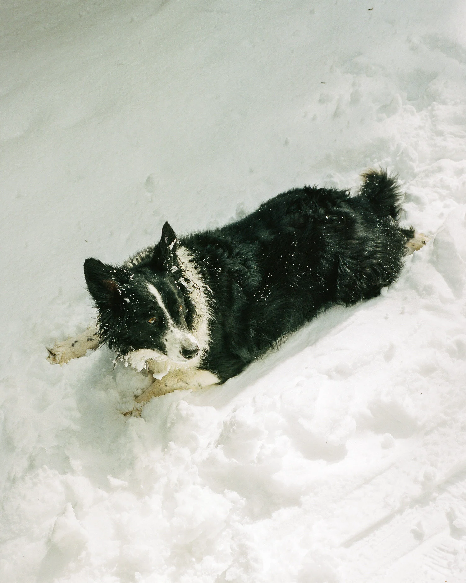 telluride-2020-027.jpg