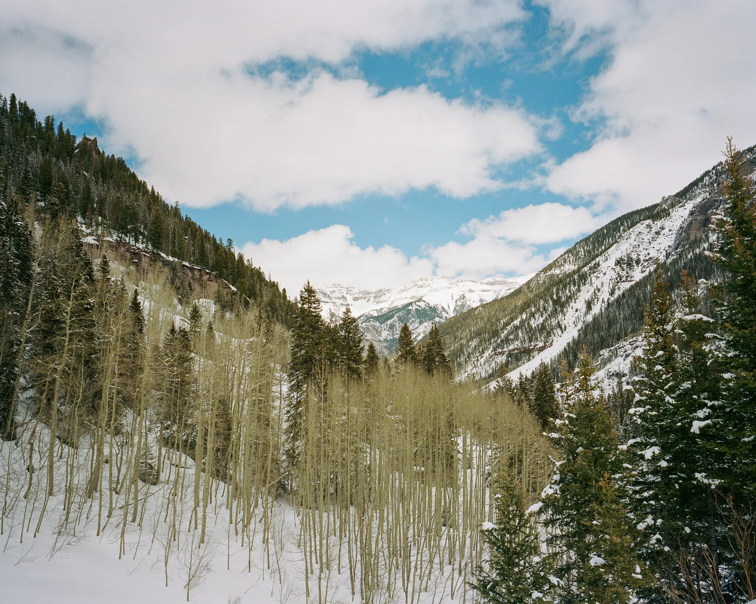 telluride-2020-031.jpg