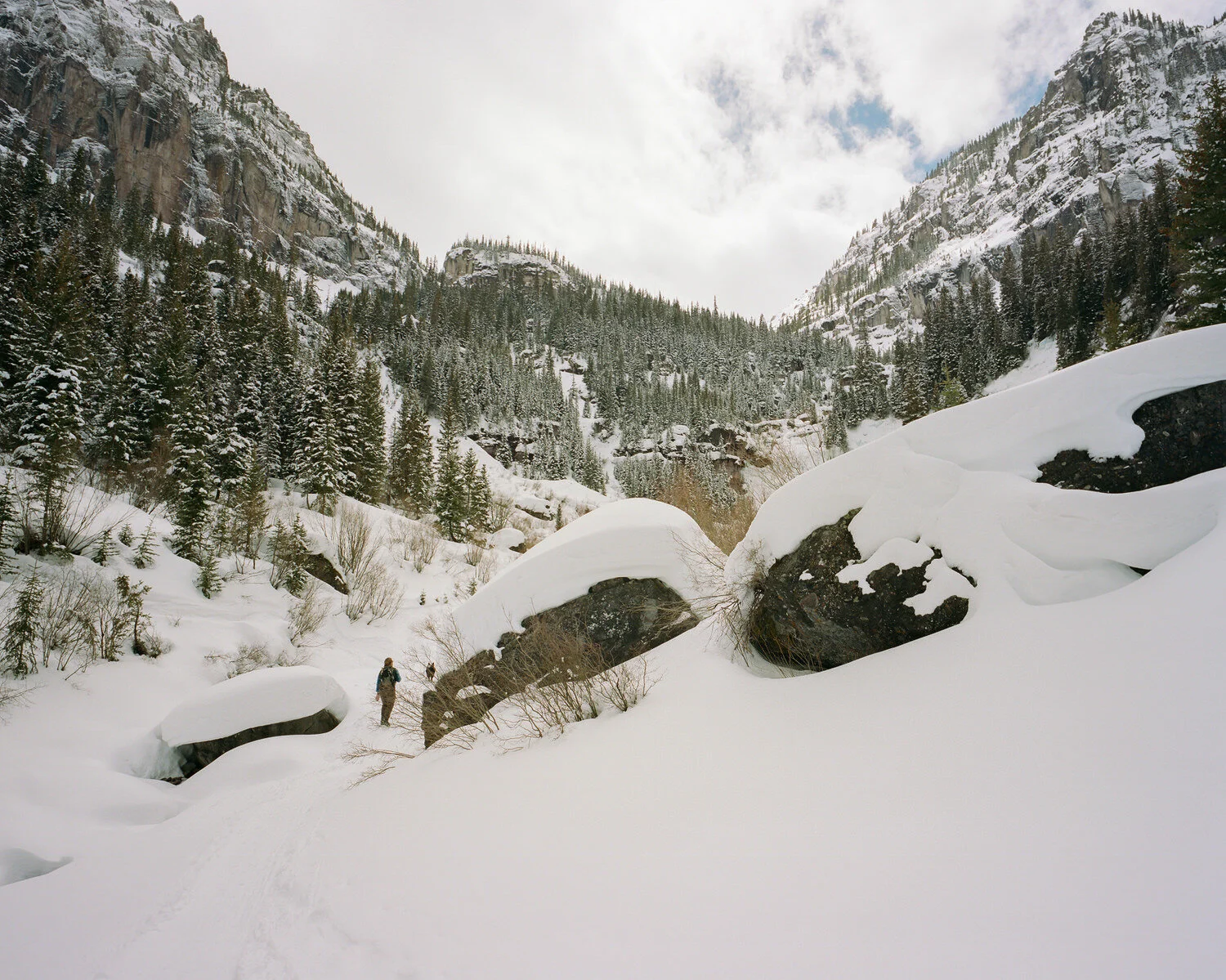 telluride-2020-033.jpg