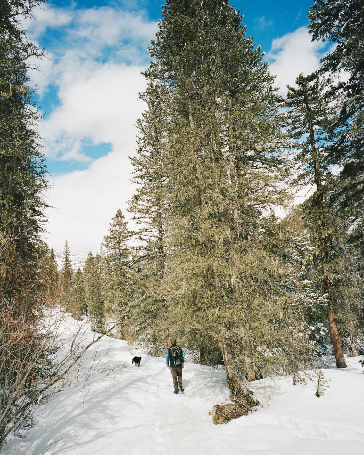 telluride-2020-036.jpg