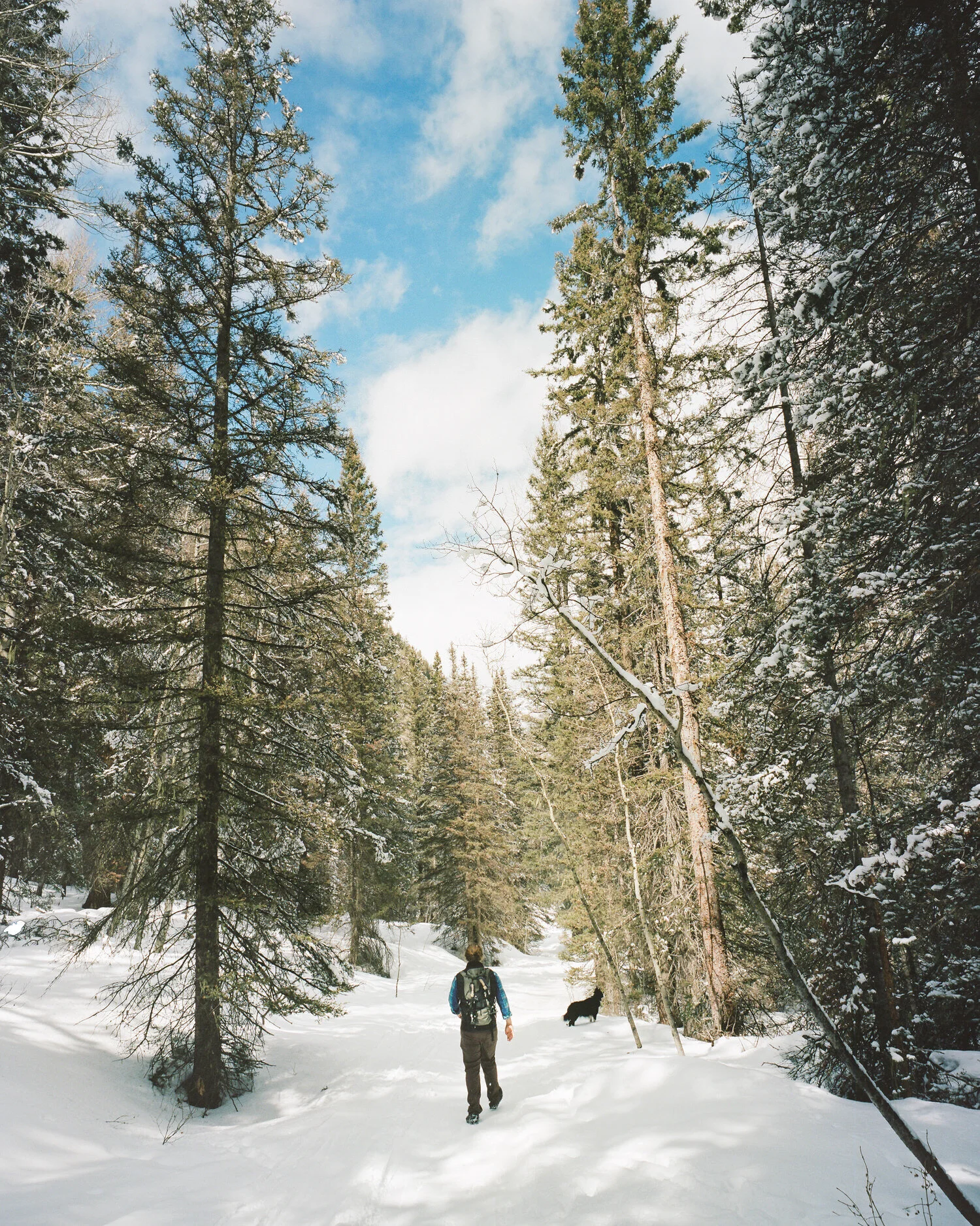telluride-2020-037.jpg