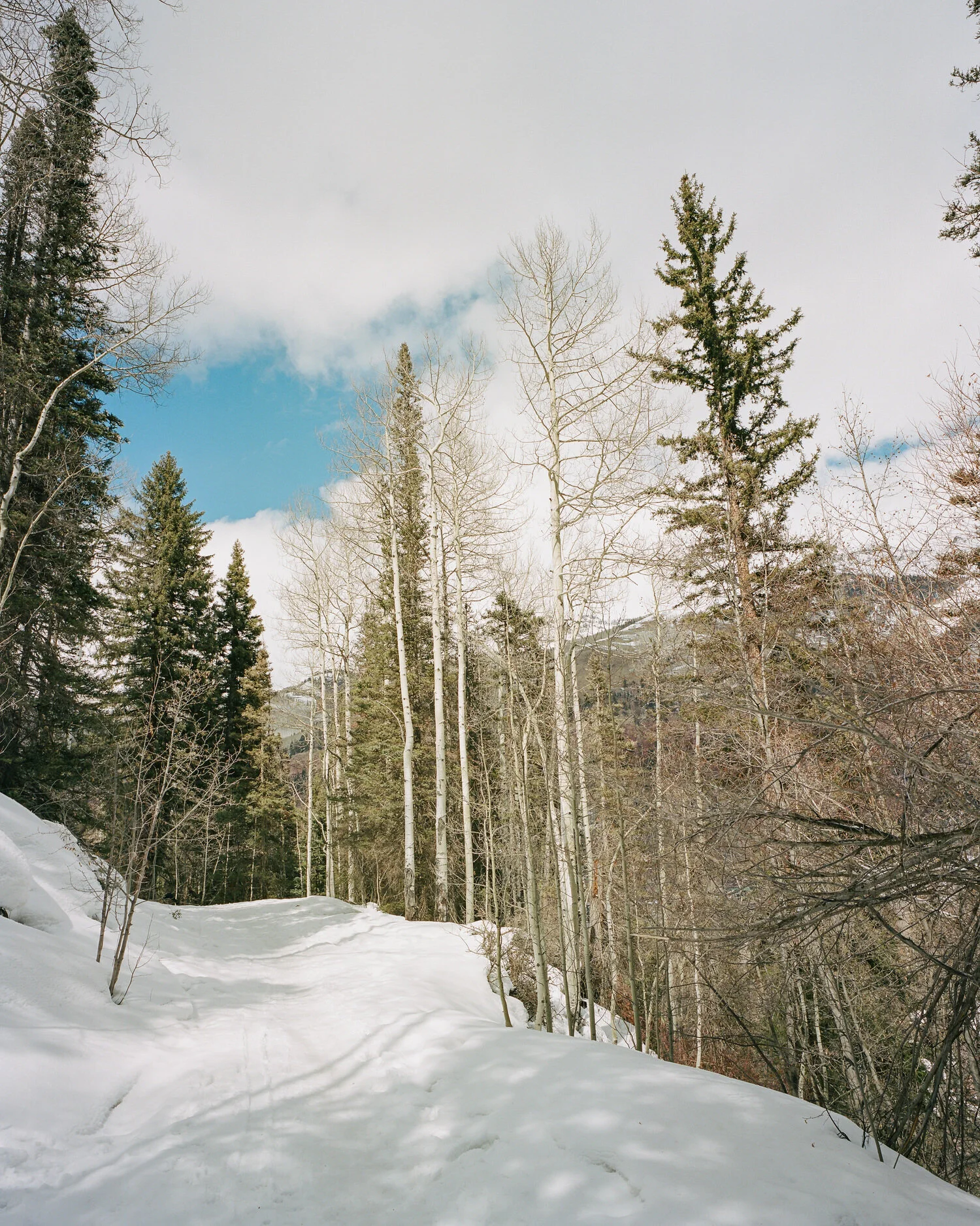 telluride-2020-038.jpg
