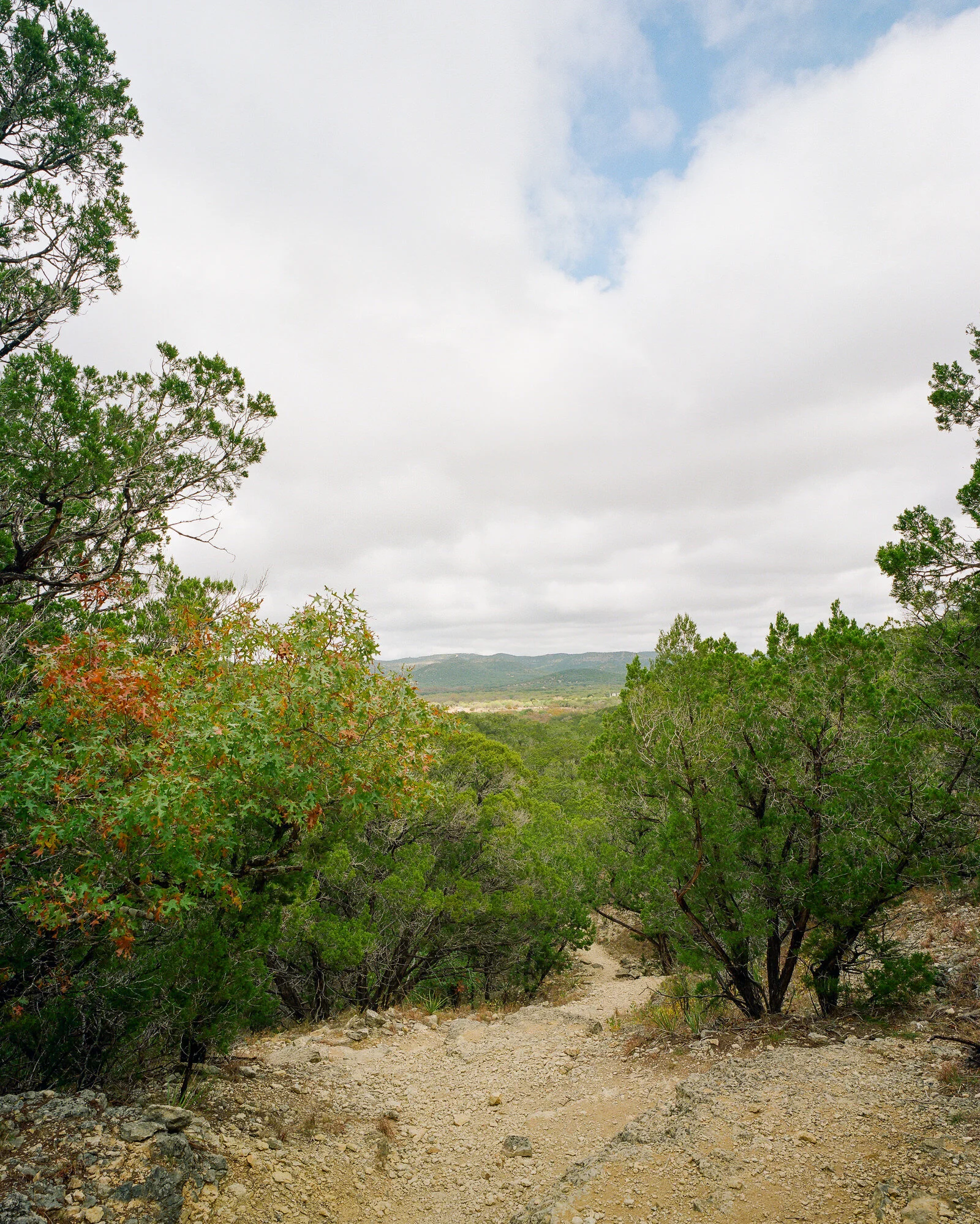 garner-006.jpg