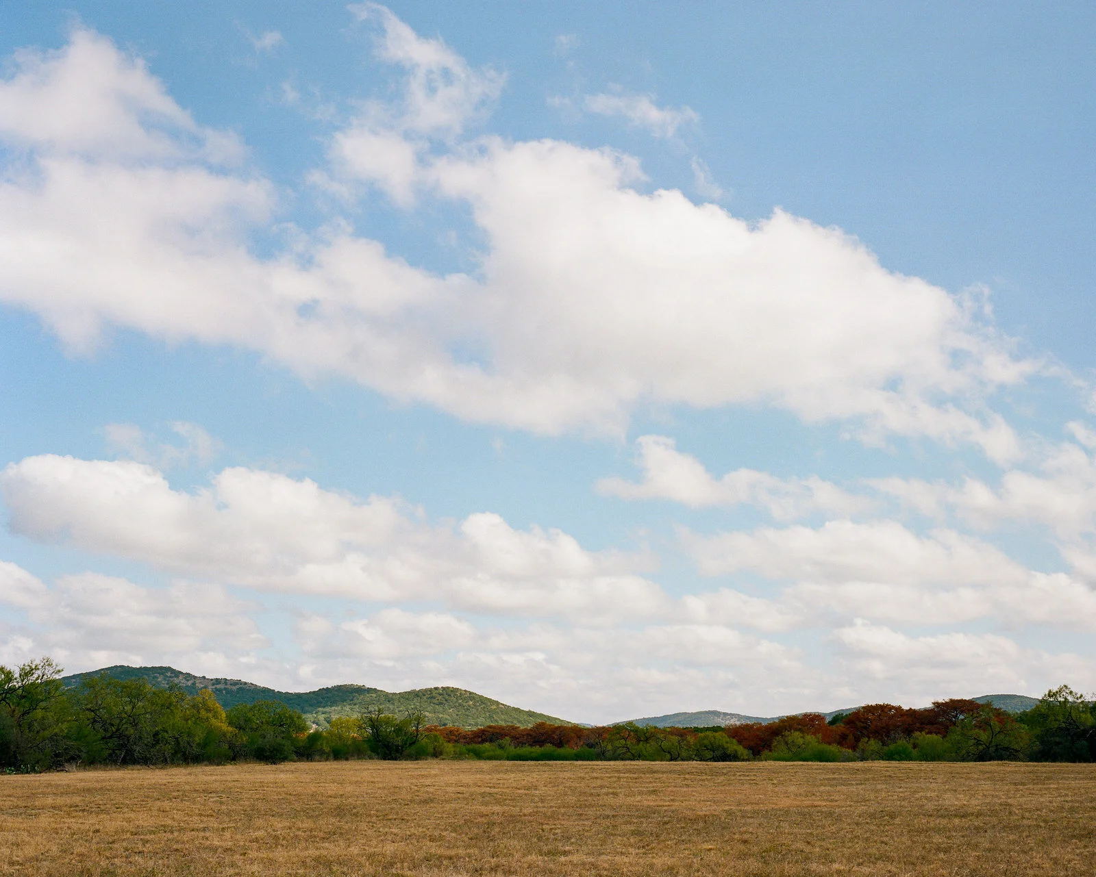 garner-009.jpg