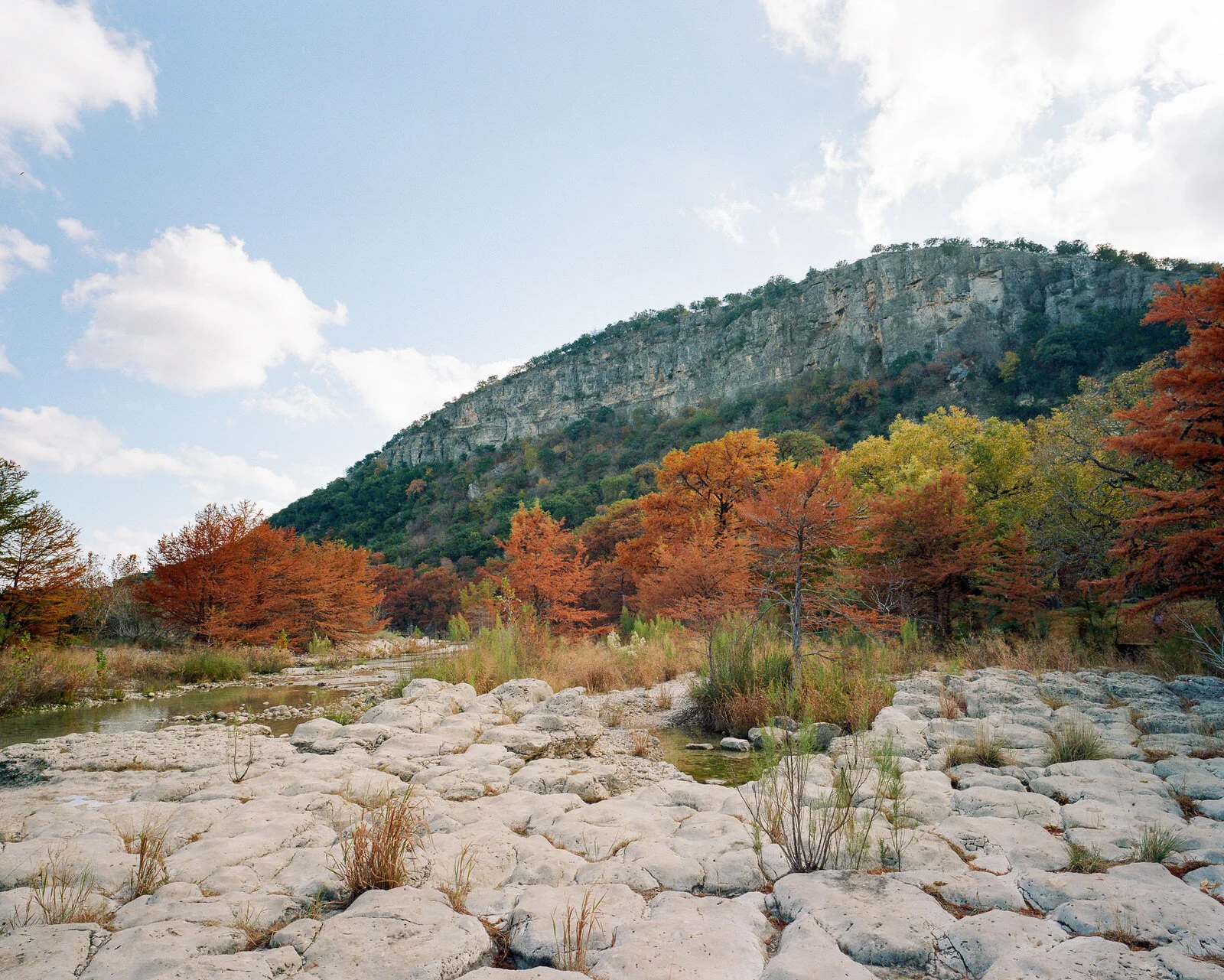 garner-019.jpg