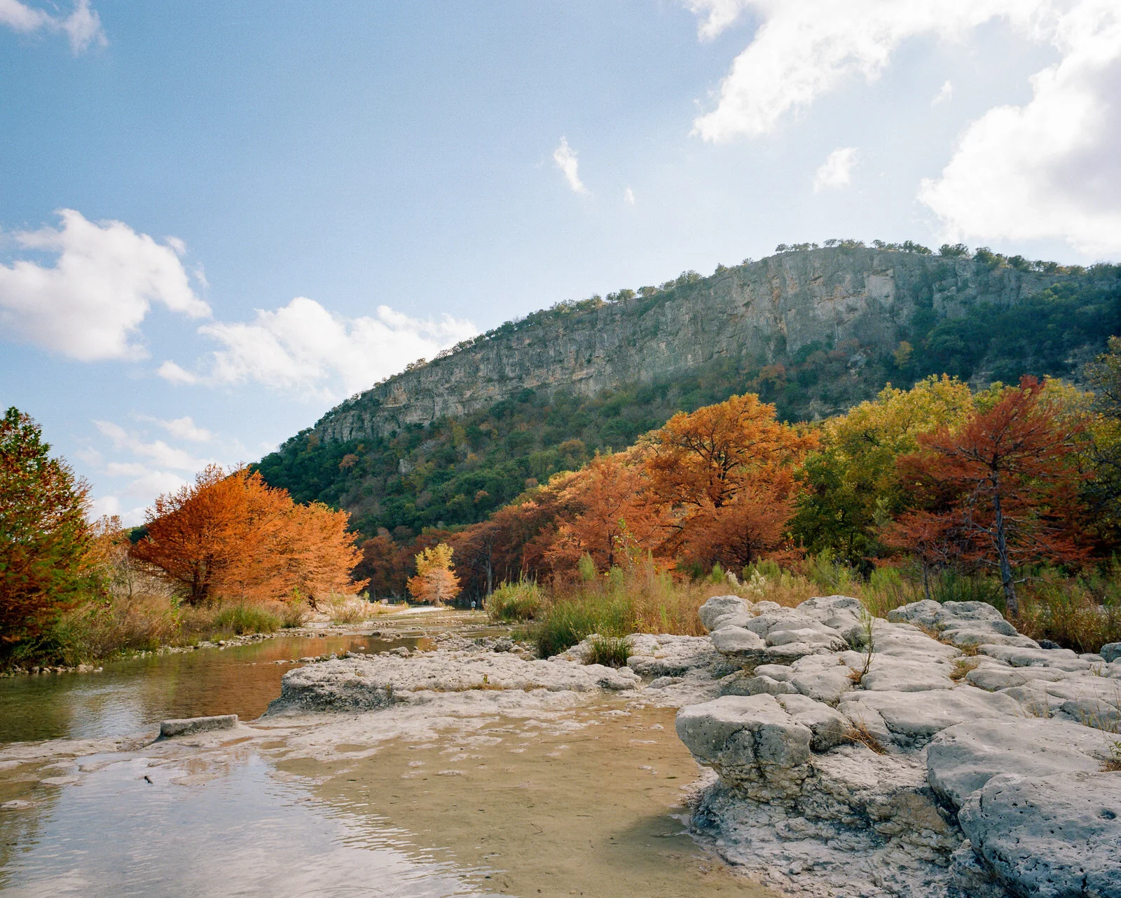 garner-020.jpg