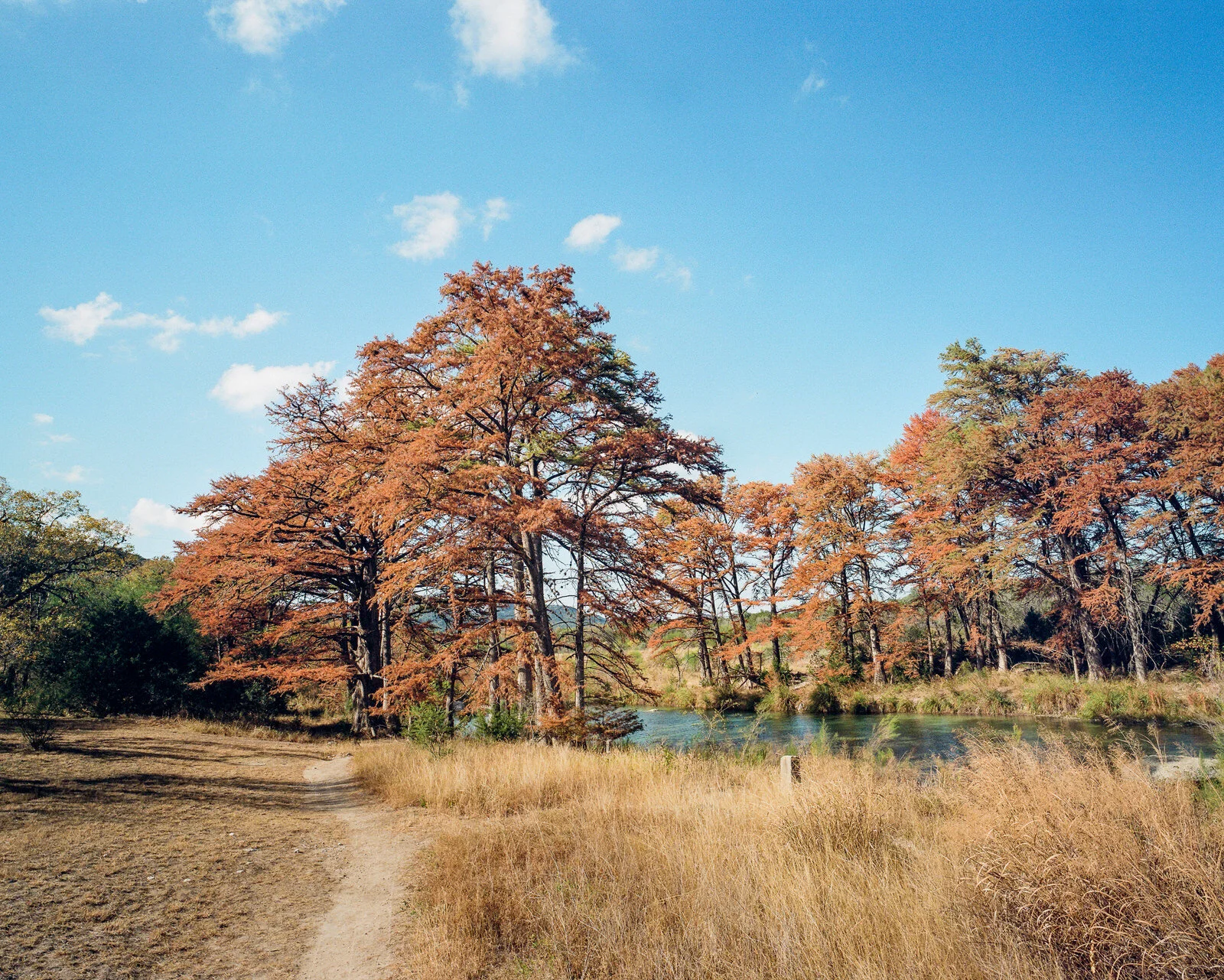 garner-022.jpg