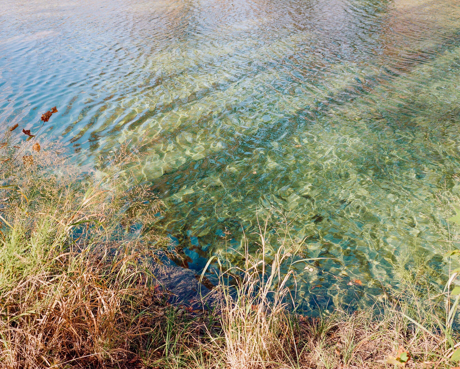 garner-023.jpg