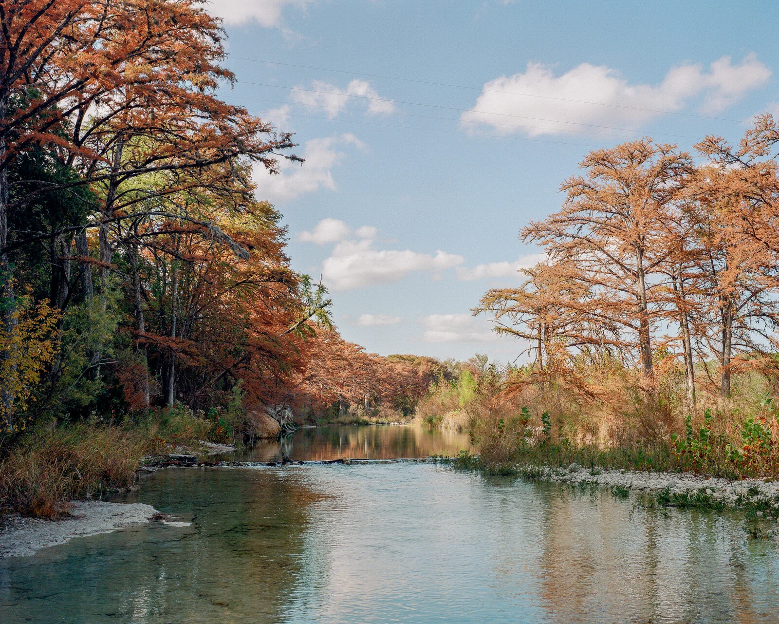 garner-025.jpg
