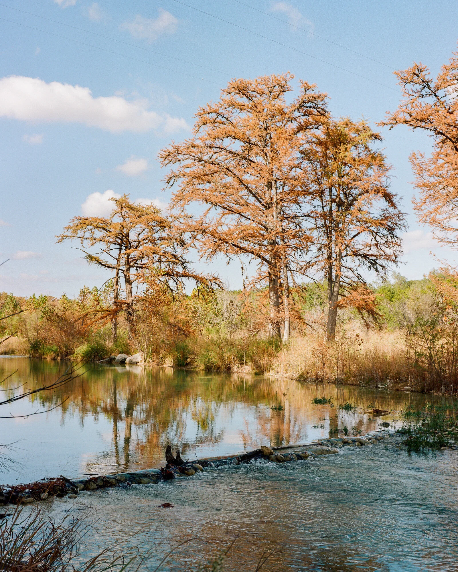 garner-026.jpg