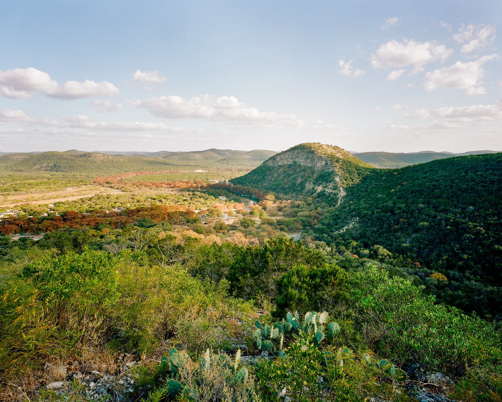 garner-031.jpg