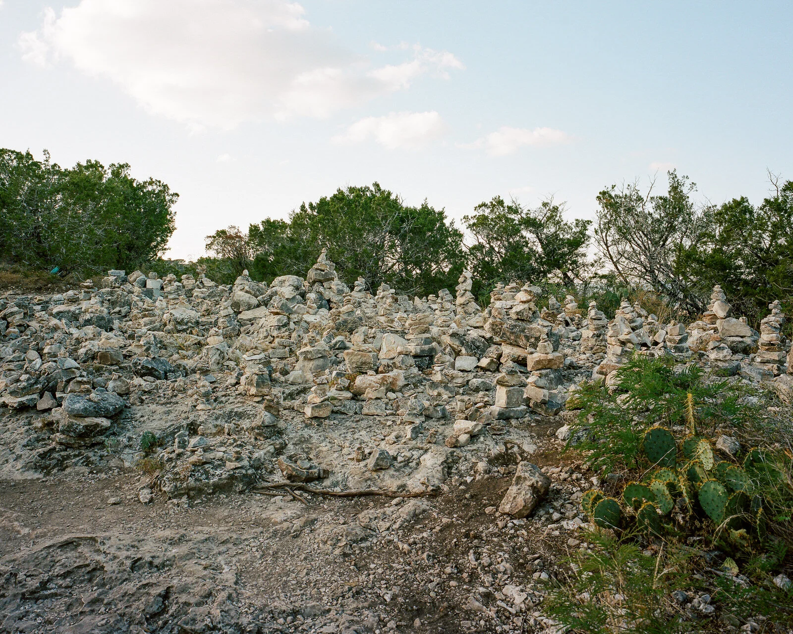 garner-033.jpg