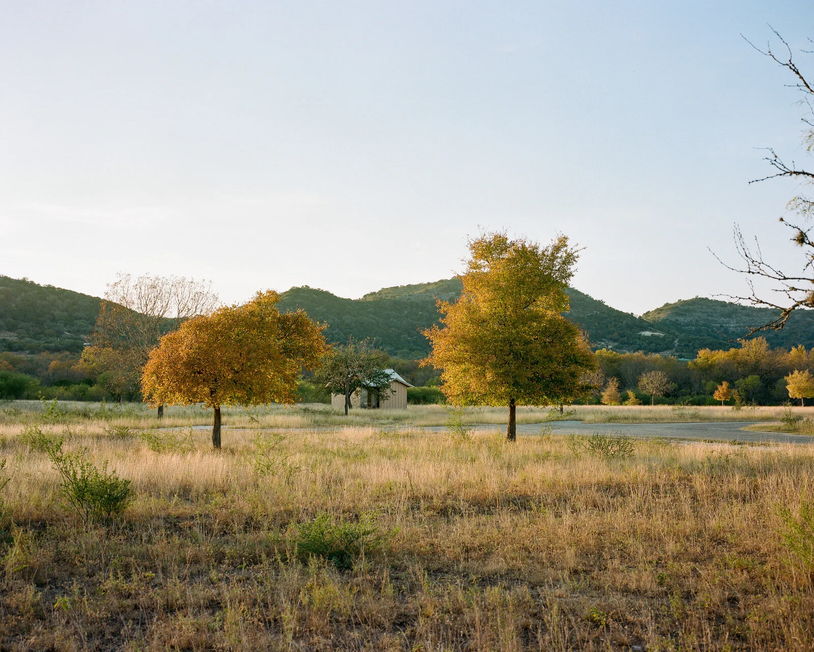 garner-034.jpg