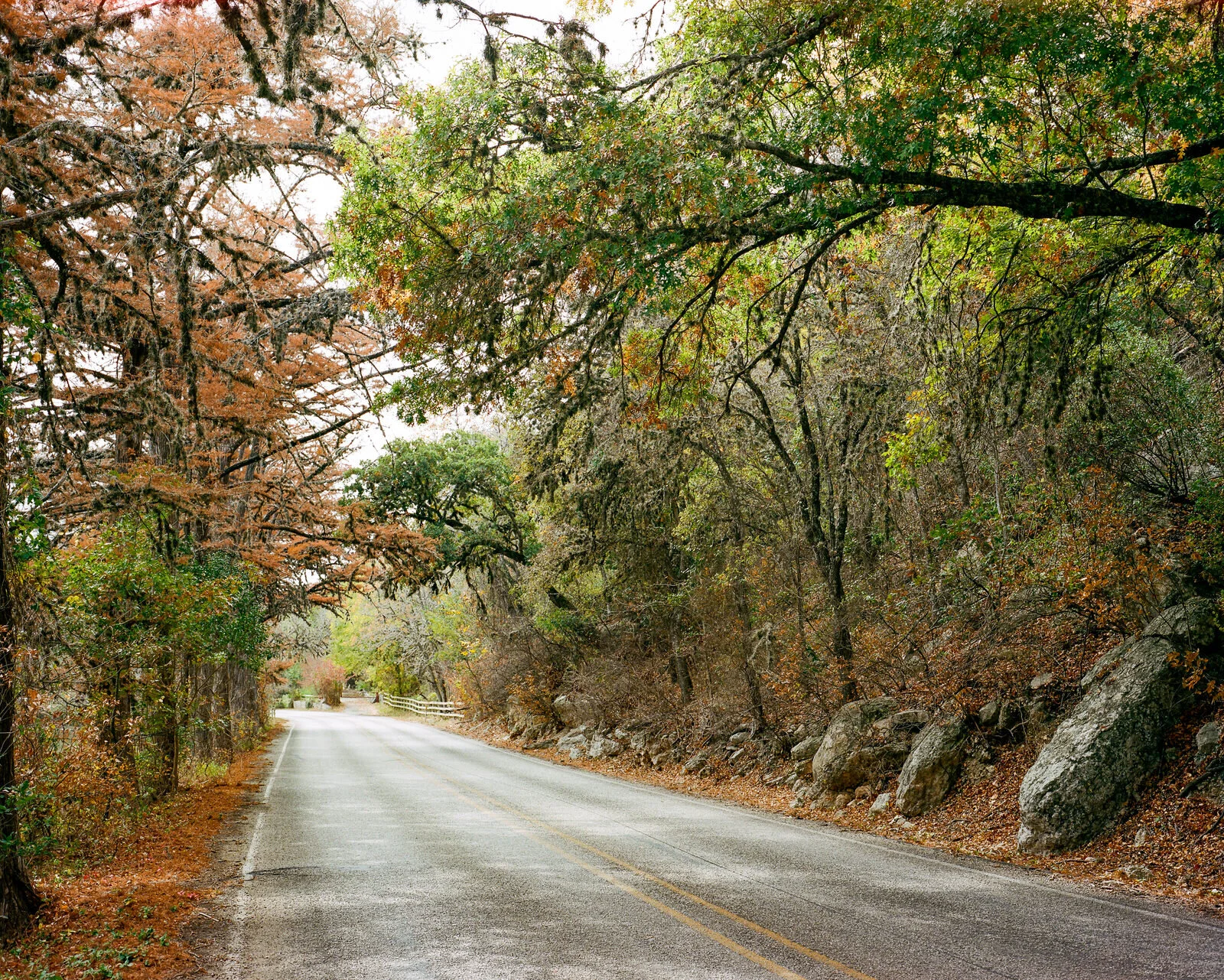 garner-035.jpg