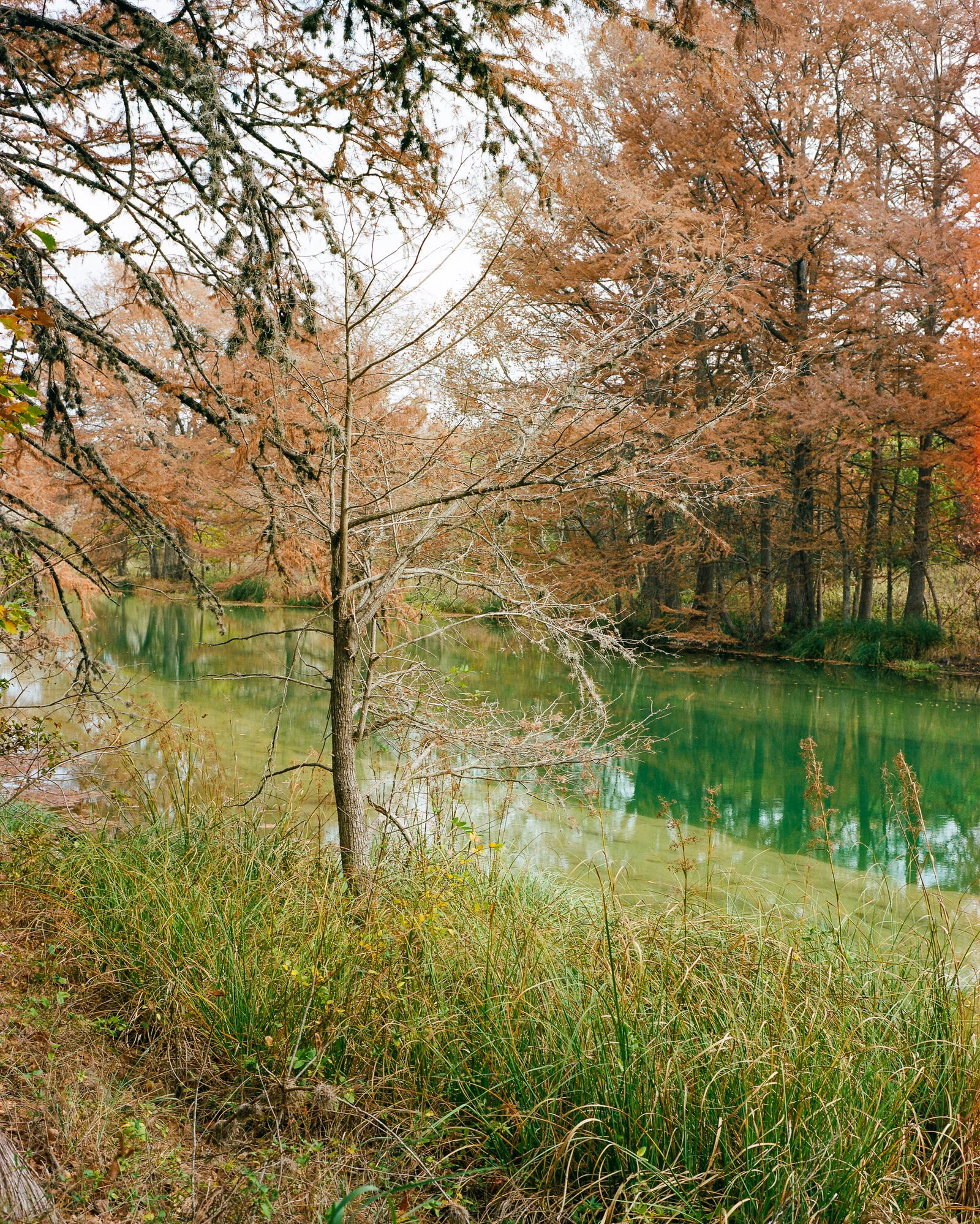 garner-036.jpg