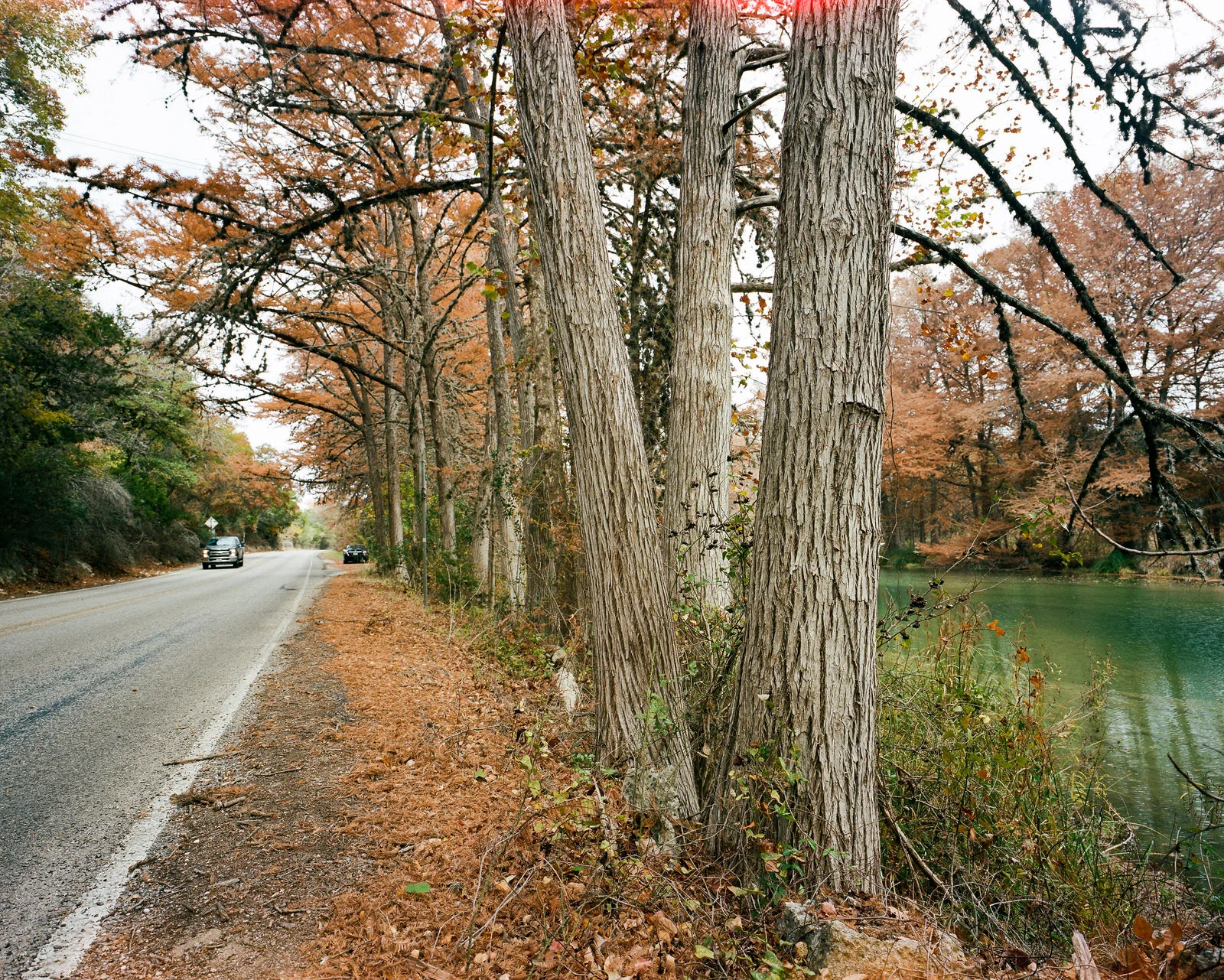garner-038.jpg