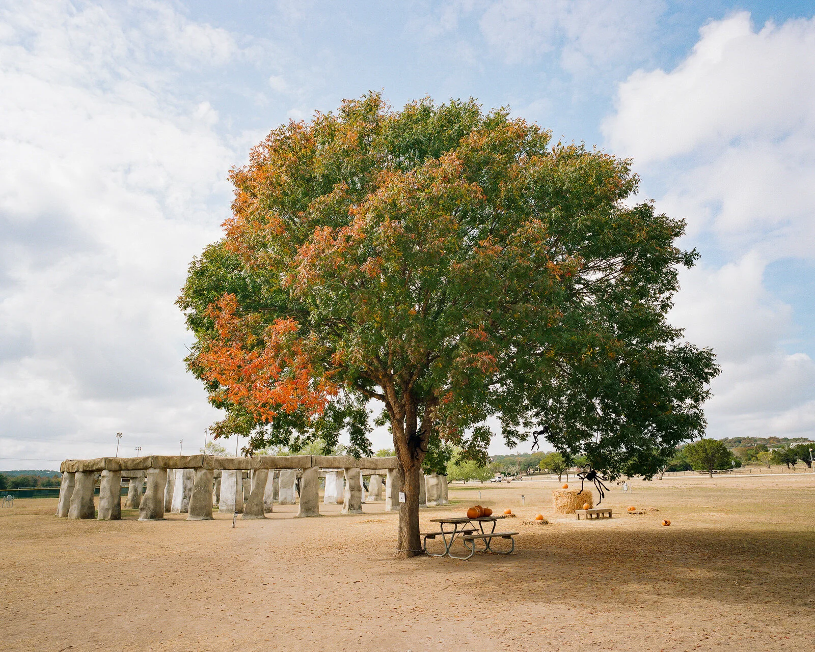 garner-045.jpg