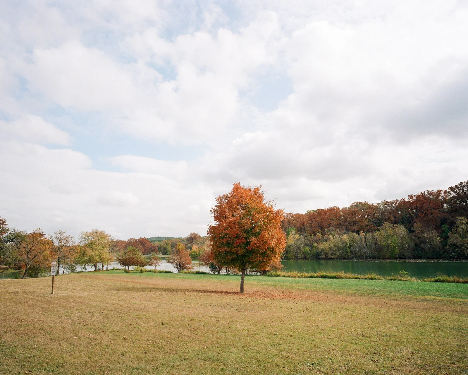 garner-046.jpg