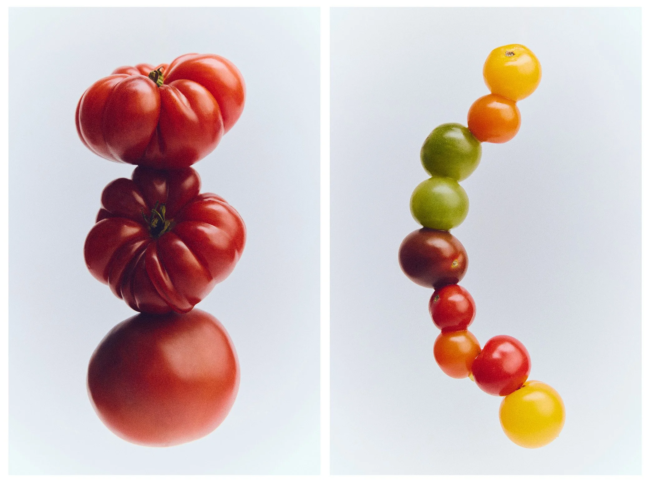Still life comp.jpg