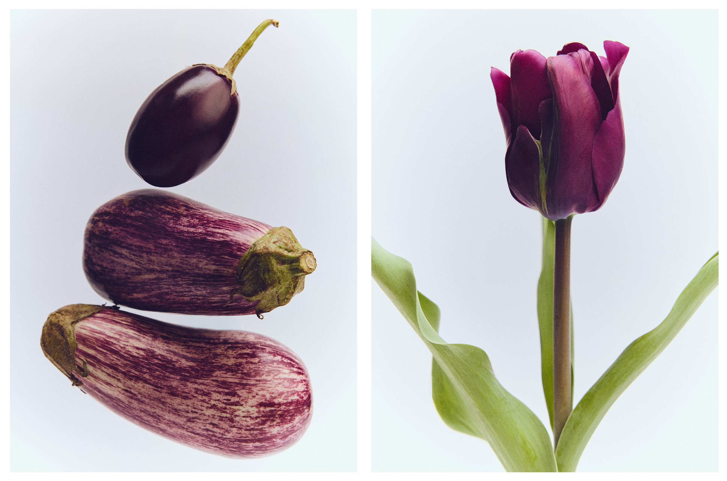 Still life comp 2.jpg