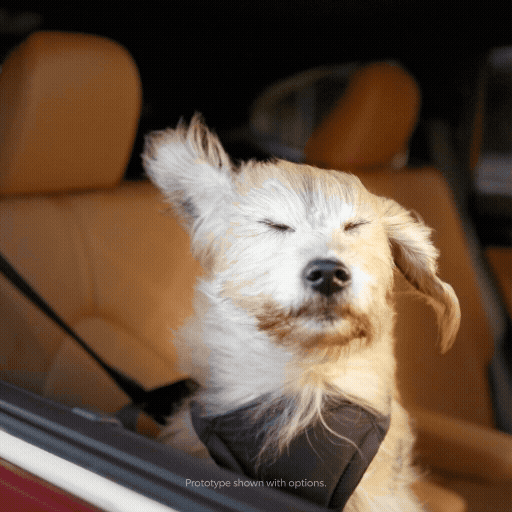 dogs-drool-thumb.gif