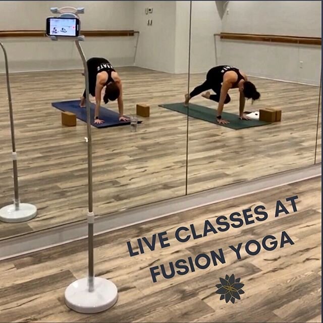 🎬LIVE CLASSES WITH FUSION YOGA AVAILABLE BEGINNING MONDAY, JUNE 1st!
Love yoga and want to join in but feeling a bit unsure still? No problem. Join us online! When you go to MindBody you will now see that some classes have a &lsquo;LIVE&rsquo; optio