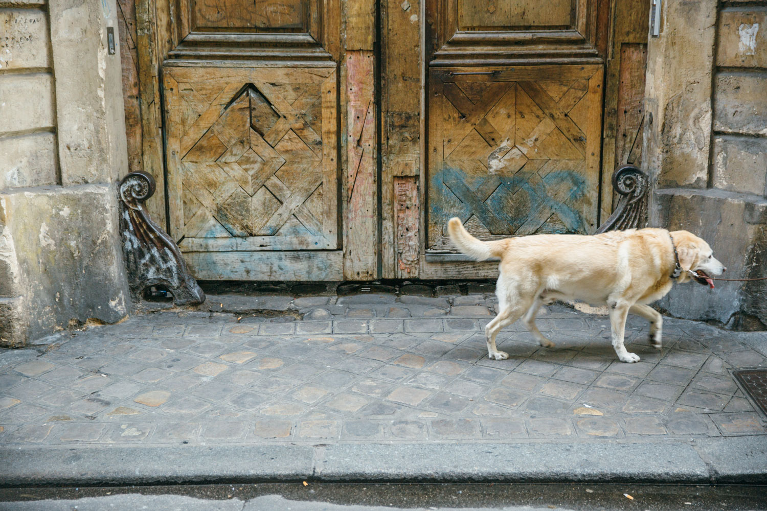 ajwells_paris_door_project-70.jpg