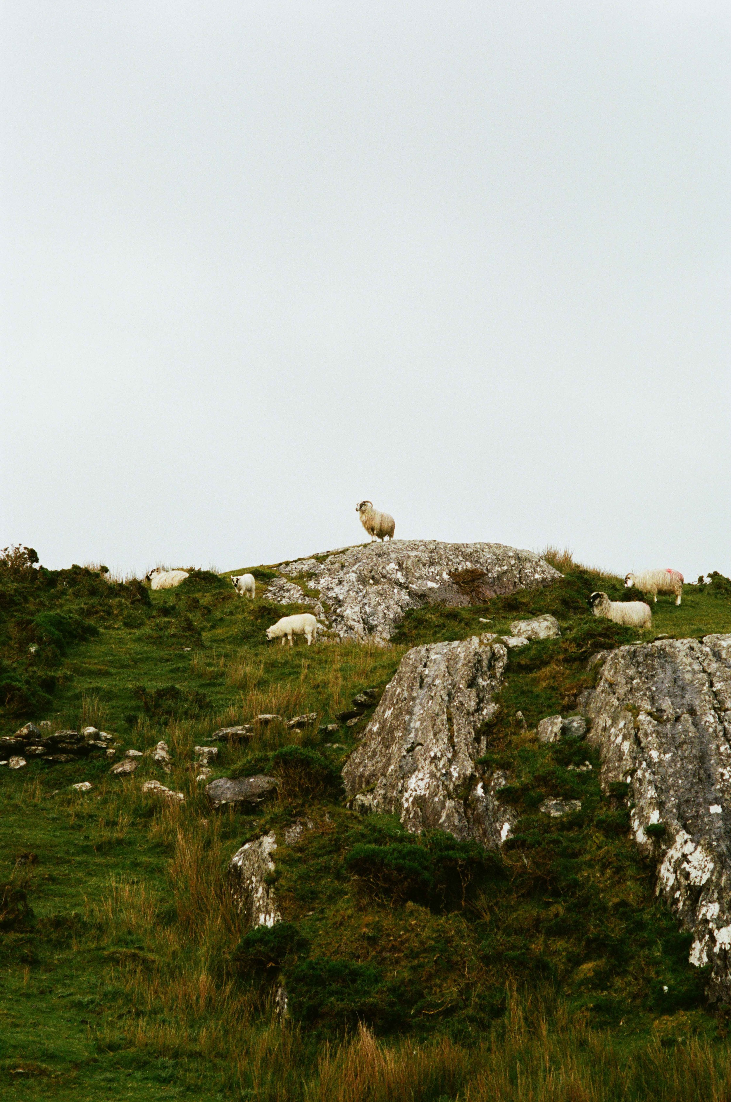 ajwells_ireland-0011.jpg