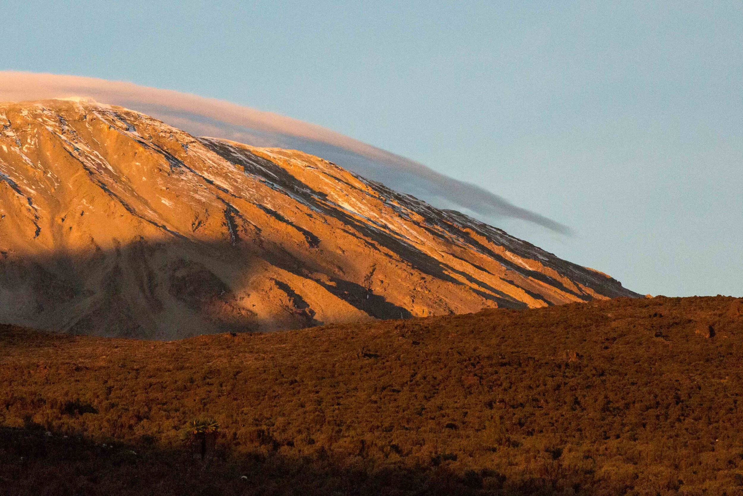 ajw_REI_Kilimanjaro-21.jpg
