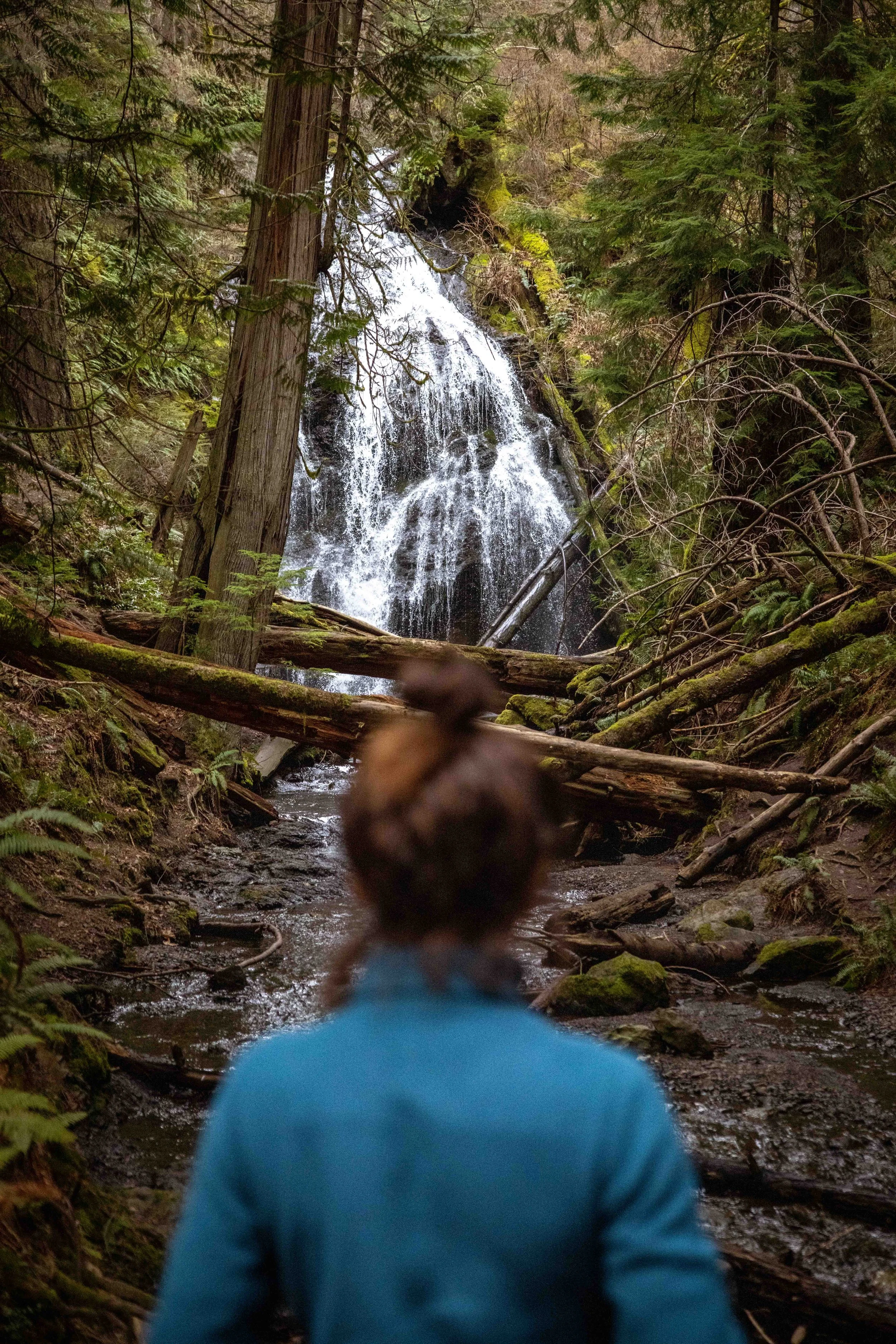San Juan Islands 04: Orcas Island, Hidden Falls