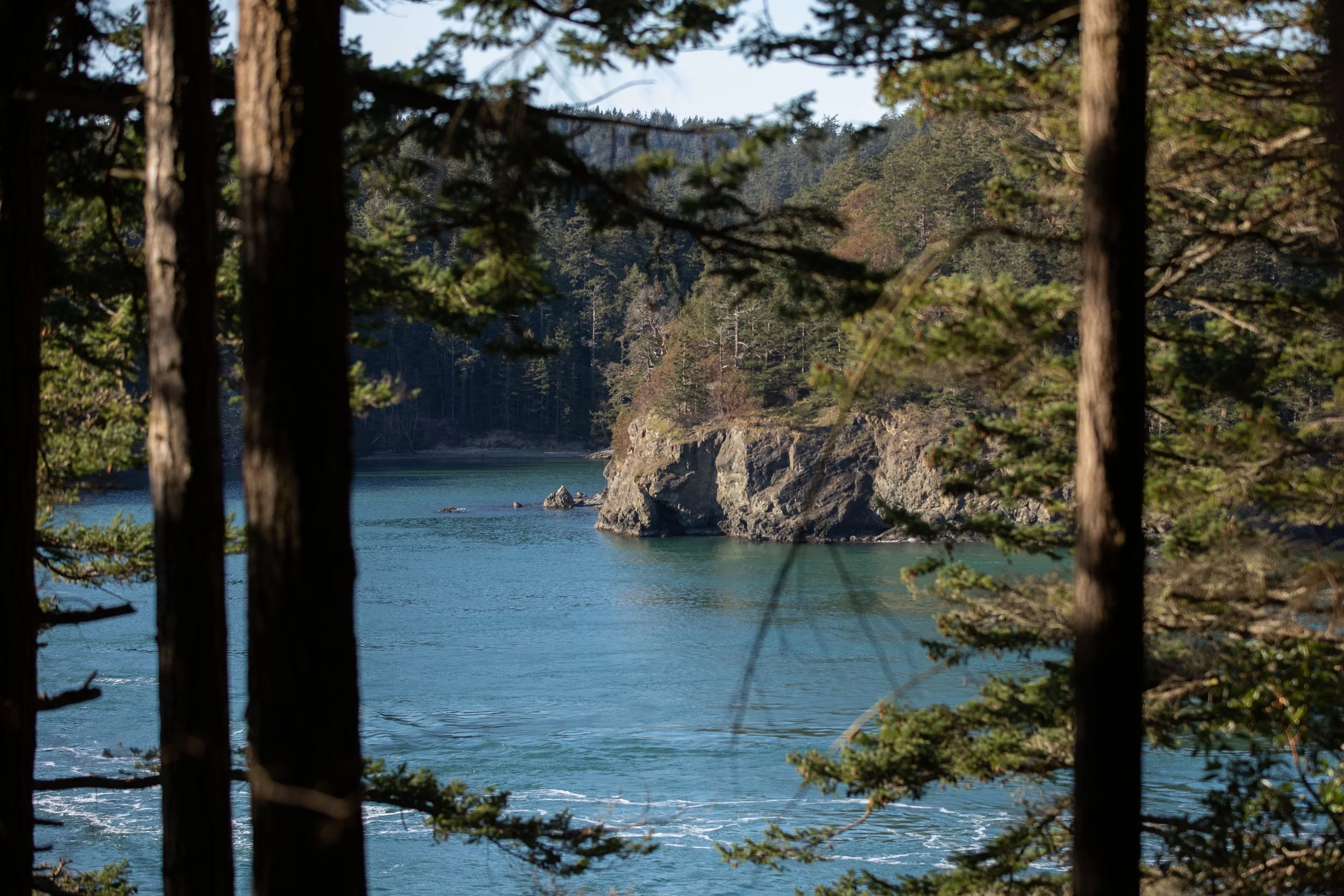 AdamJosephWells-DeceptionPass-9G9A1450.jpg