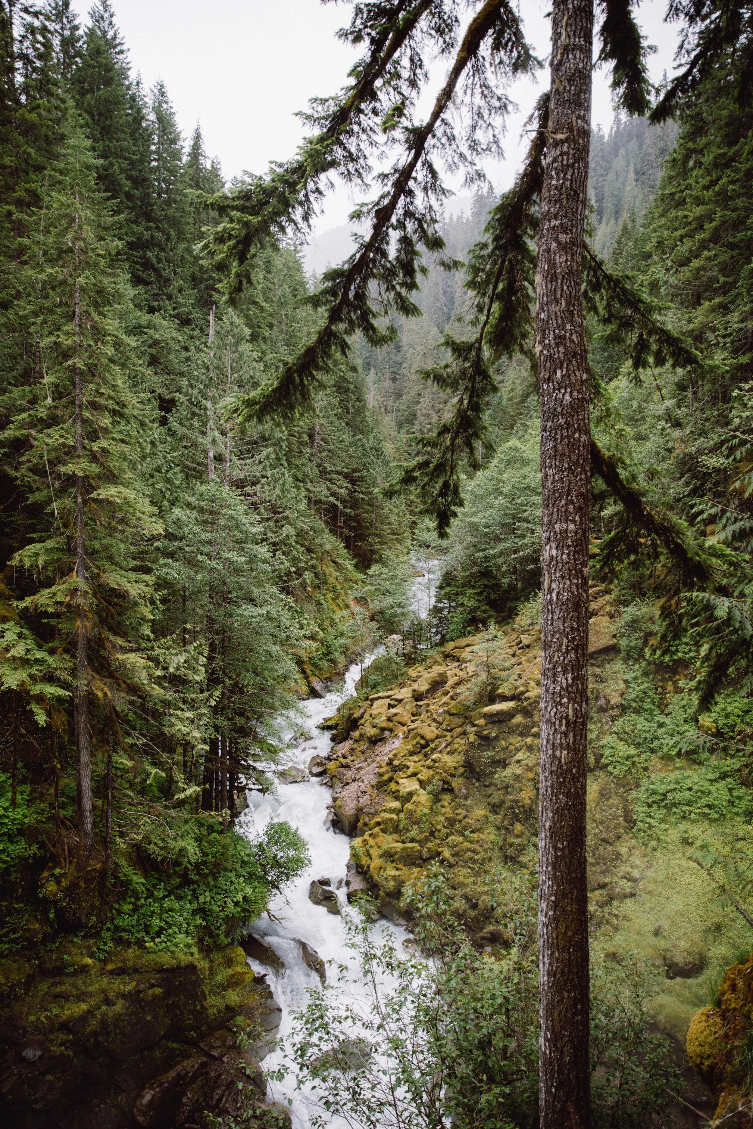 AdamJosephWells-NorthCascades-494.jpg