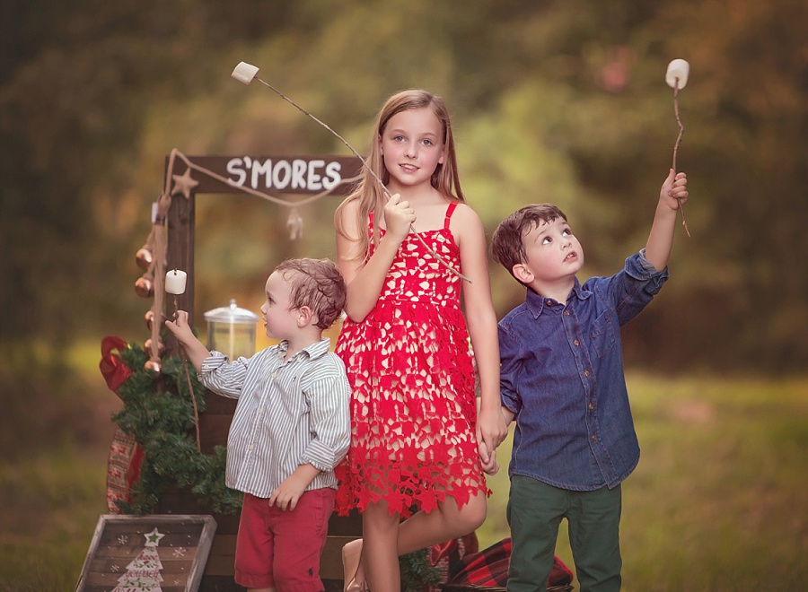 family-photos-photography-houston-woodlands-smores-brothers-sister-mini.jpg