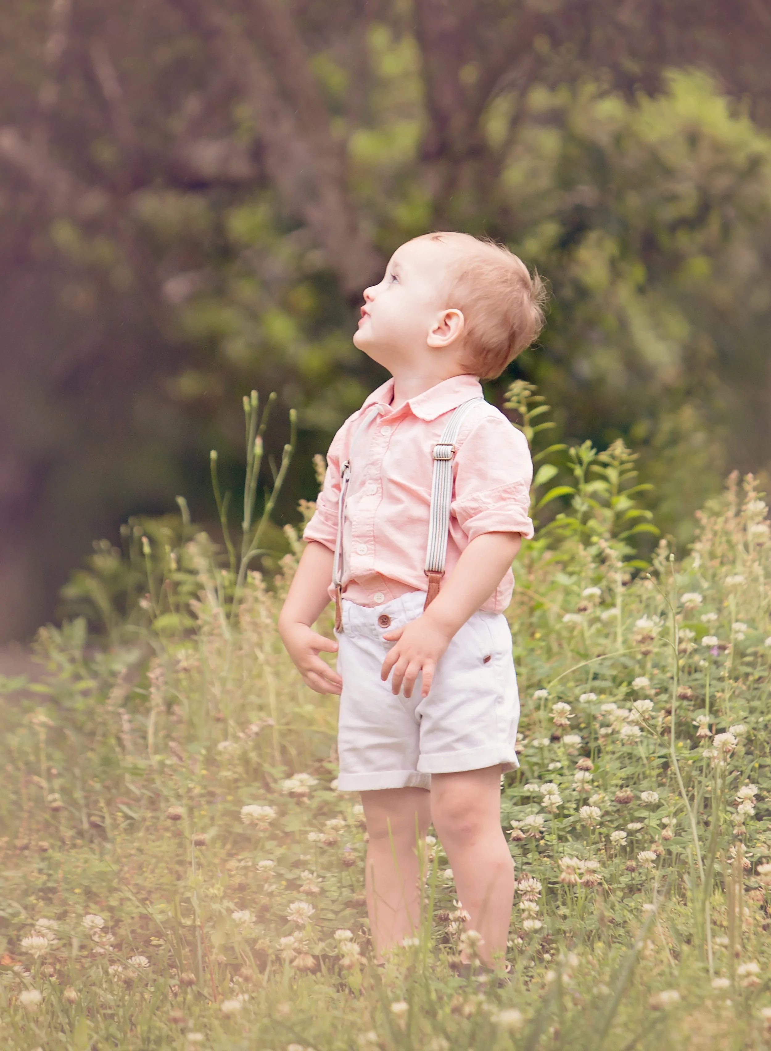 Boys 18-24 month white zara short with suspender