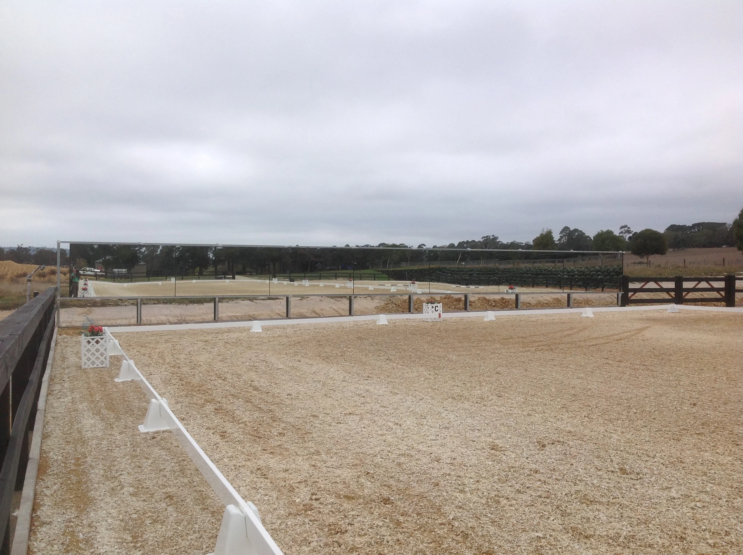 Gallerydressagearenamirrors — Jarrett Arena Mirrors