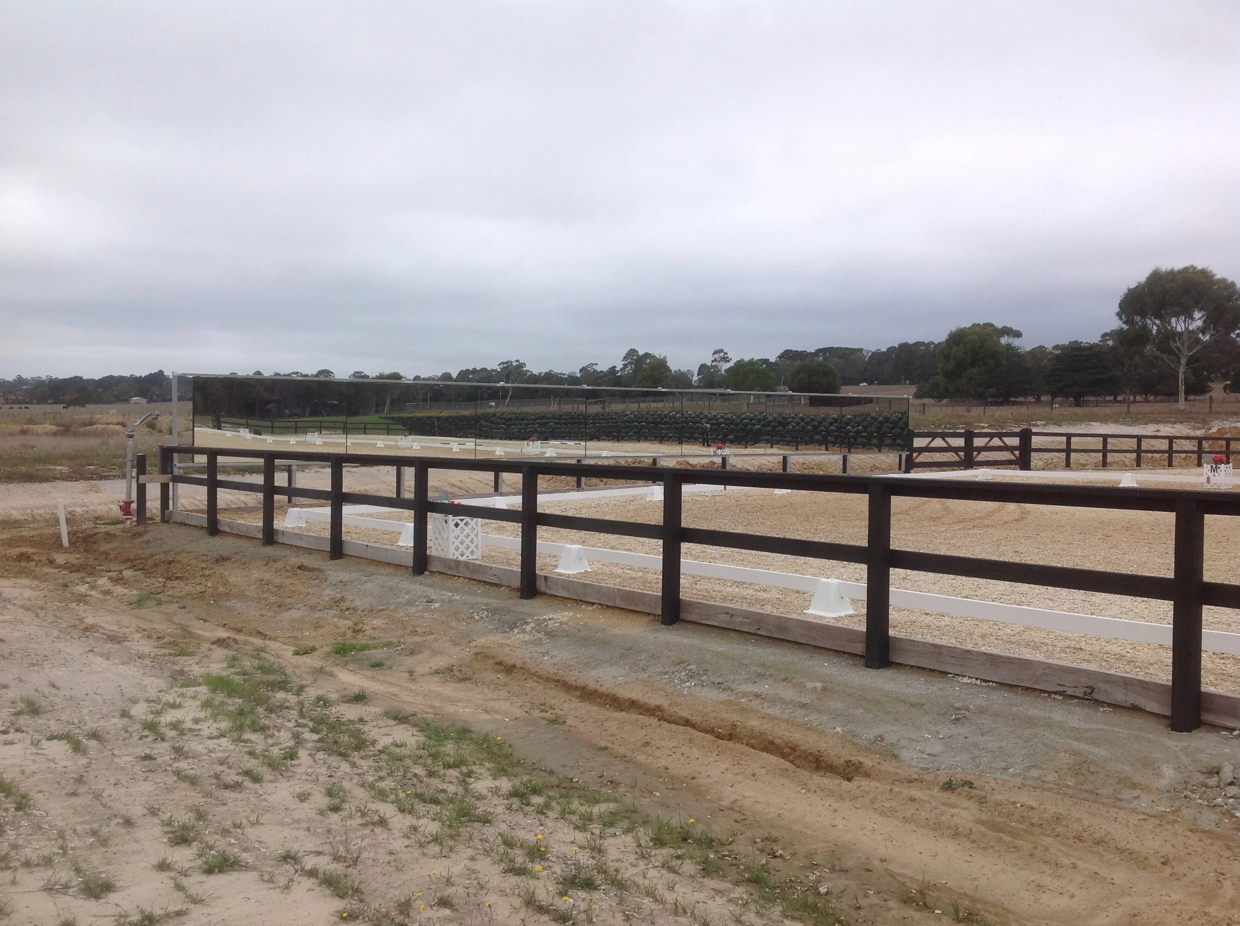 Gallerydressagearenamirrors — Jarrett Arena Mirrors