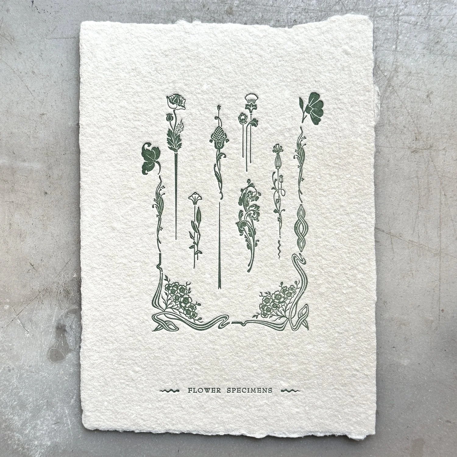 garden2.jpg