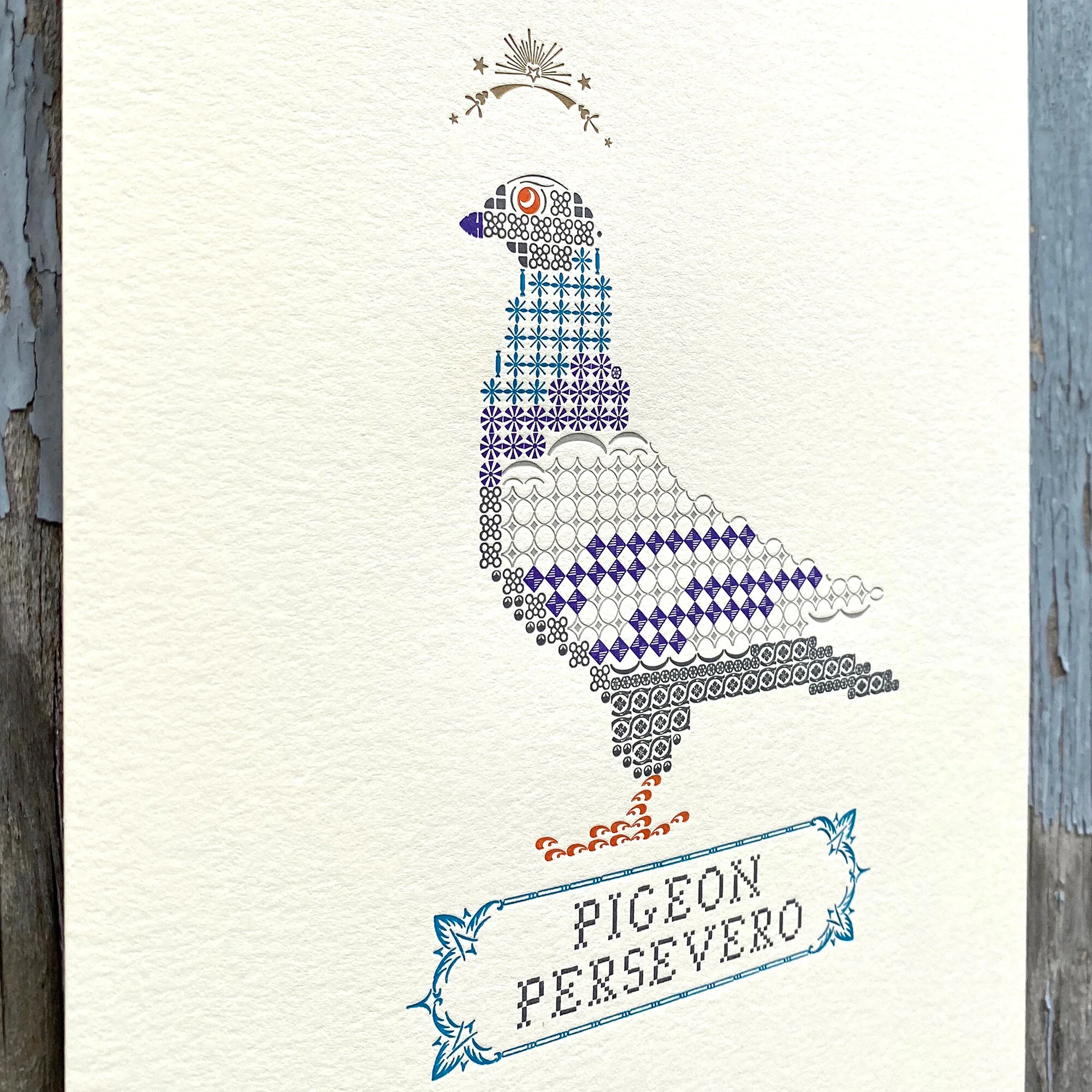 pigeon2.jpg