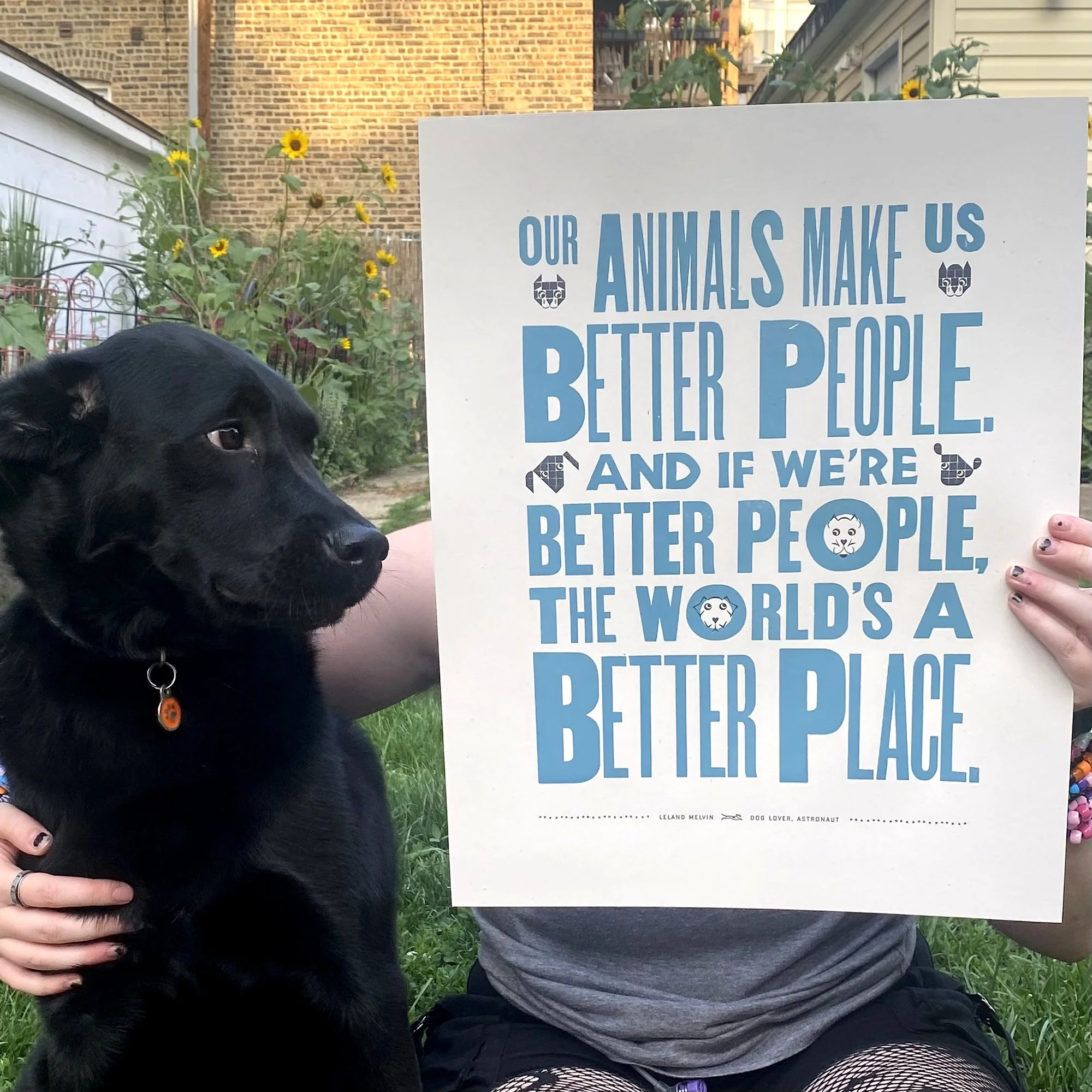 dogimage5.jpg