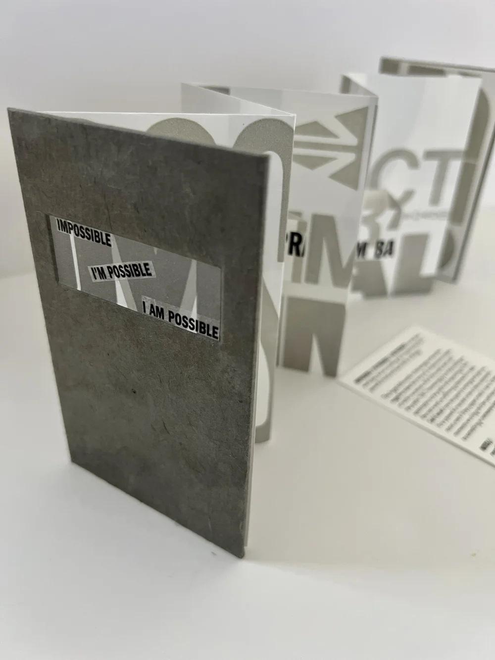 Impossible artist book.JPG