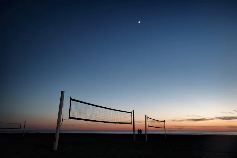 Sunset Spectators
